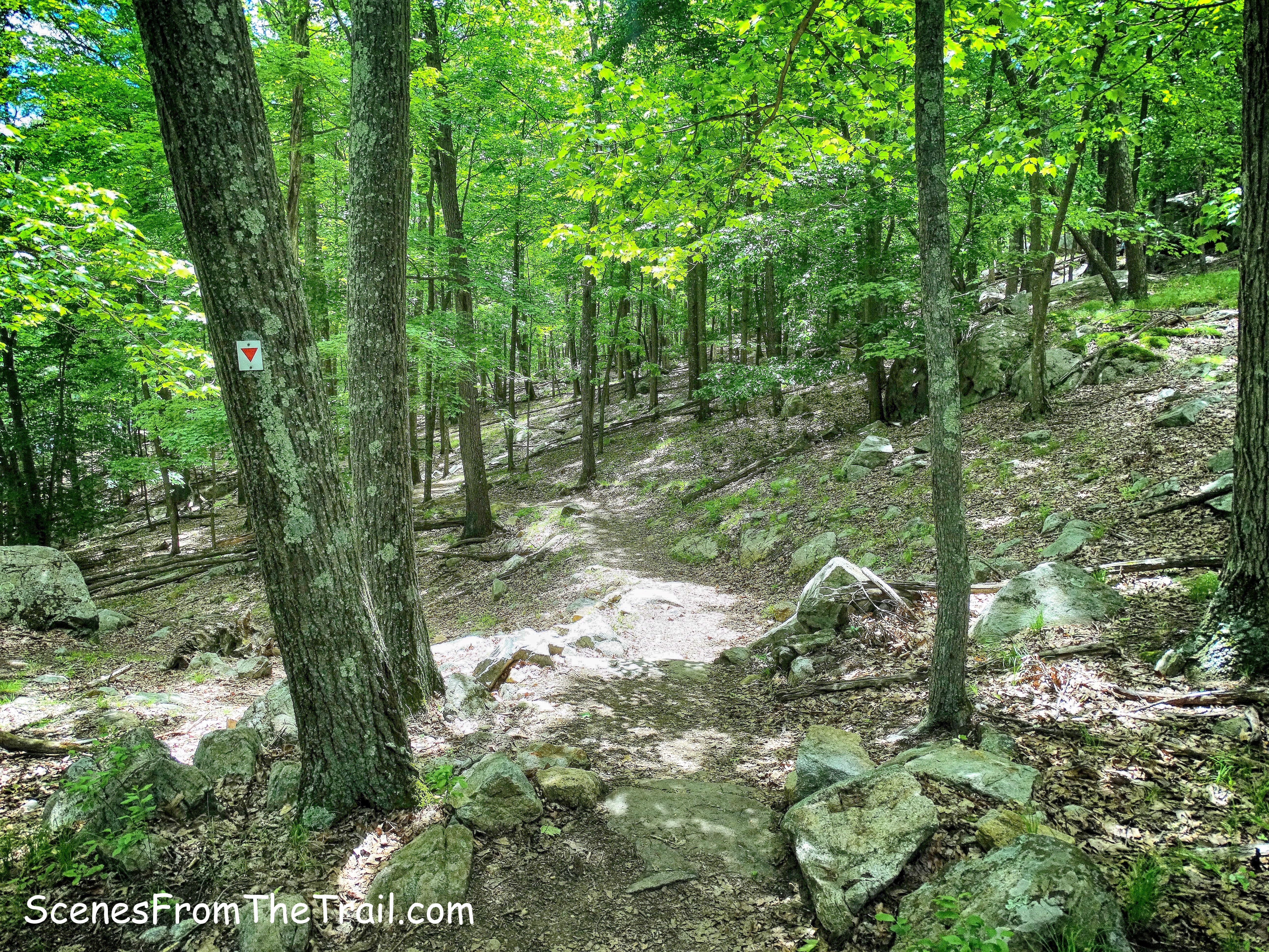 Arden-Surebridge Trail