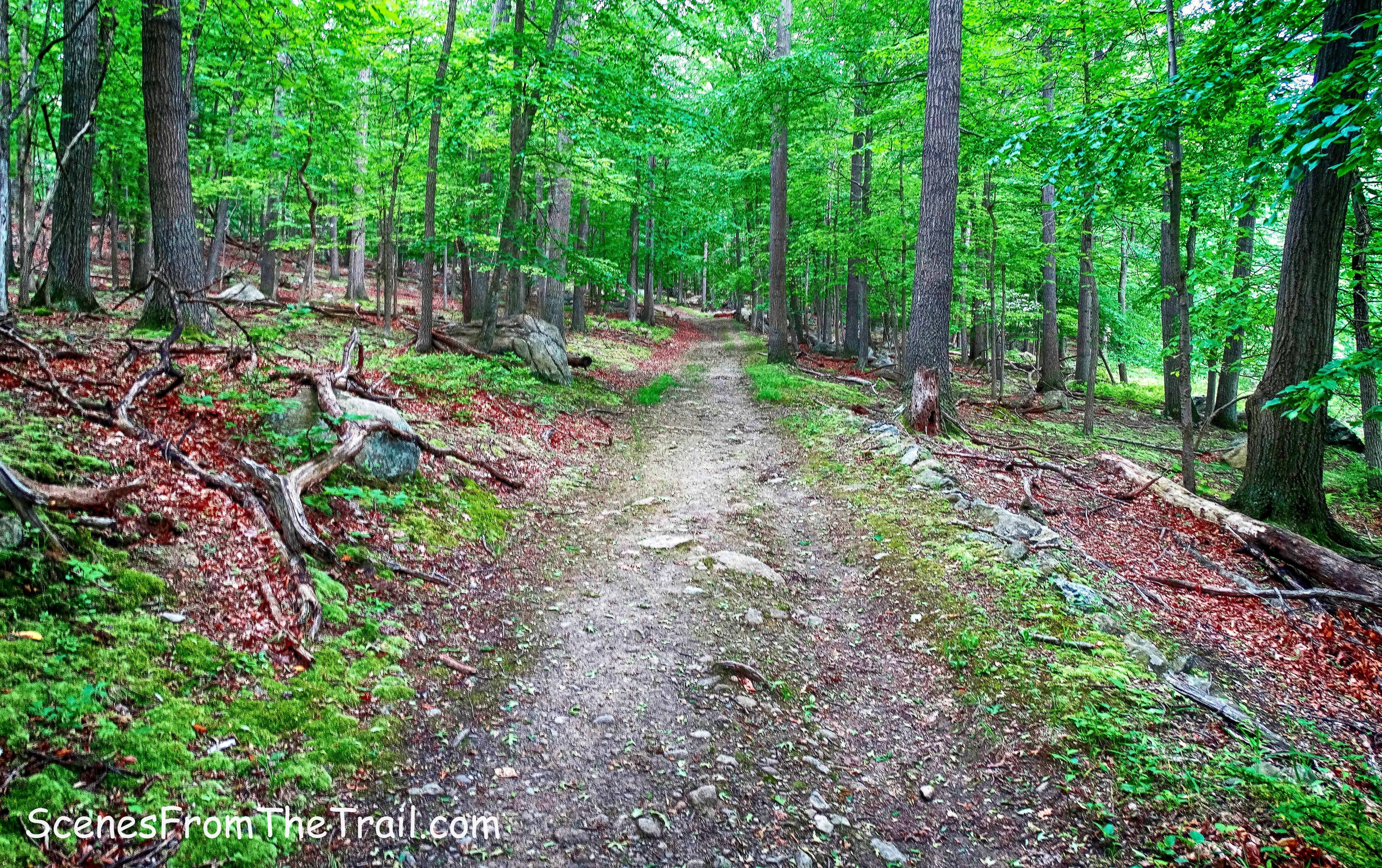 Doodletown Bridle Path