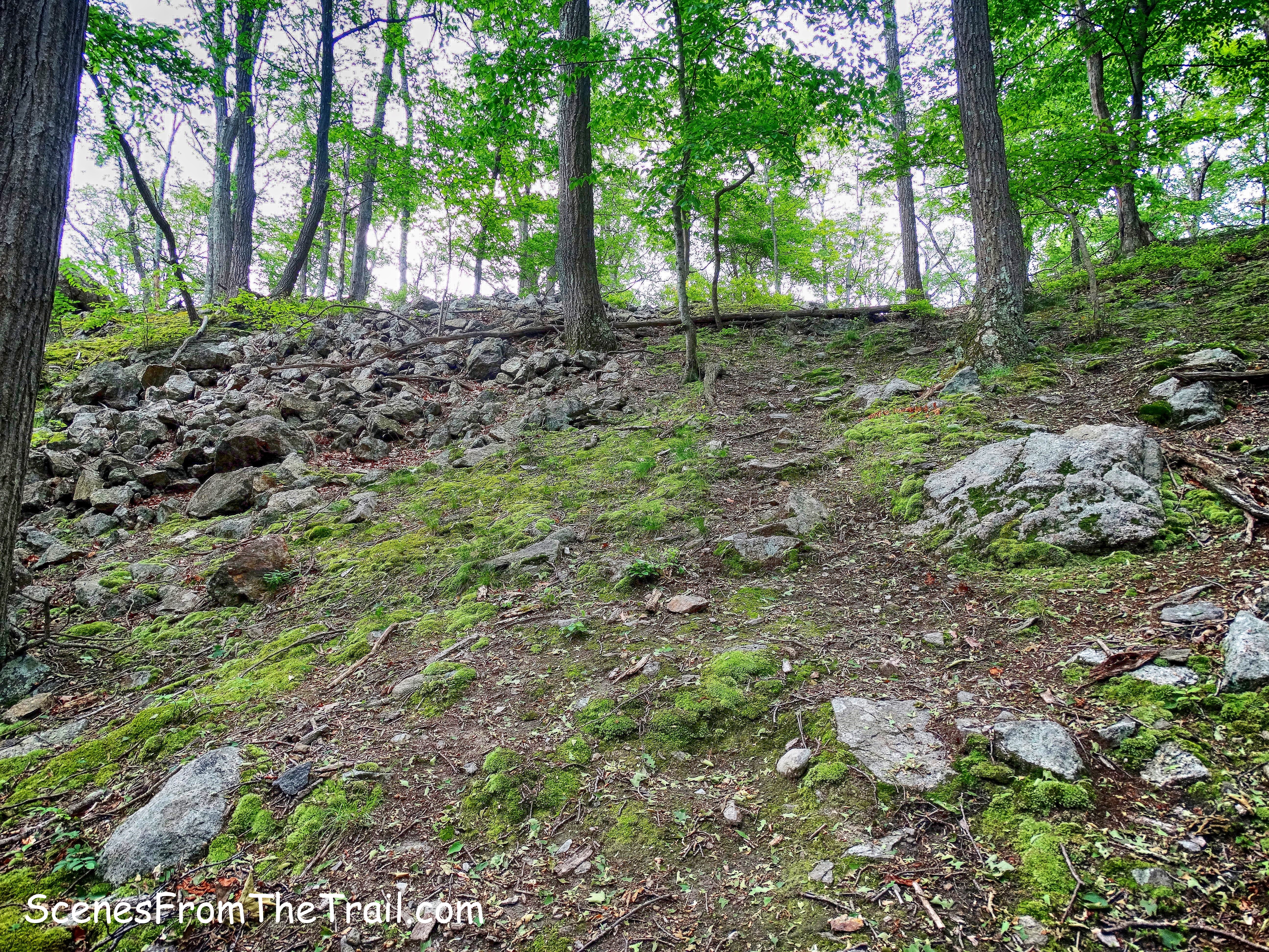 the path to Edison Mine