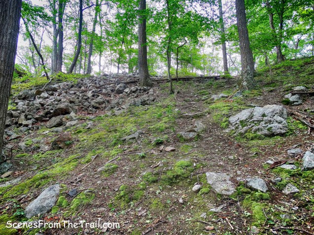 the path to Edison Mine