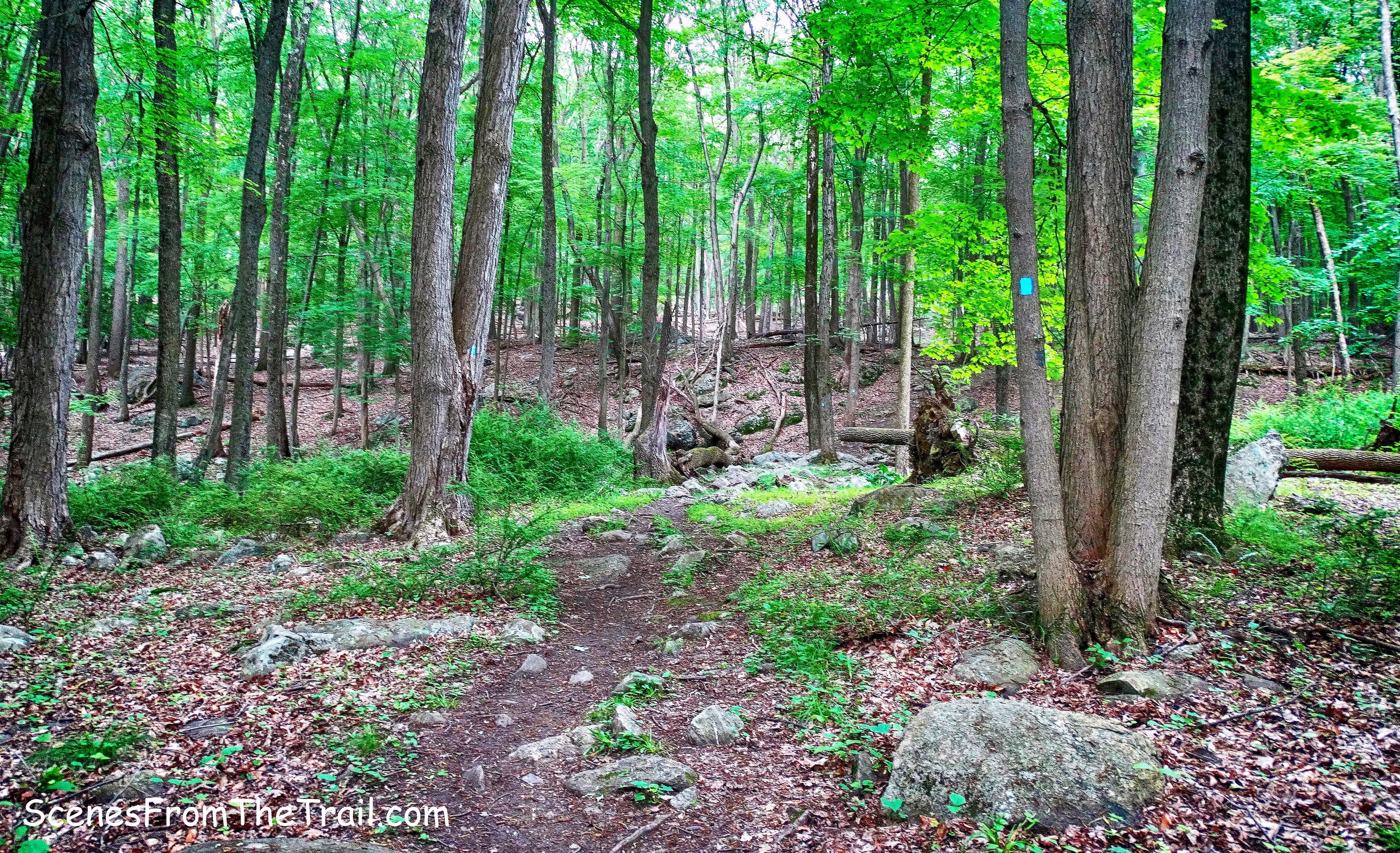 Cornell Mine Trail