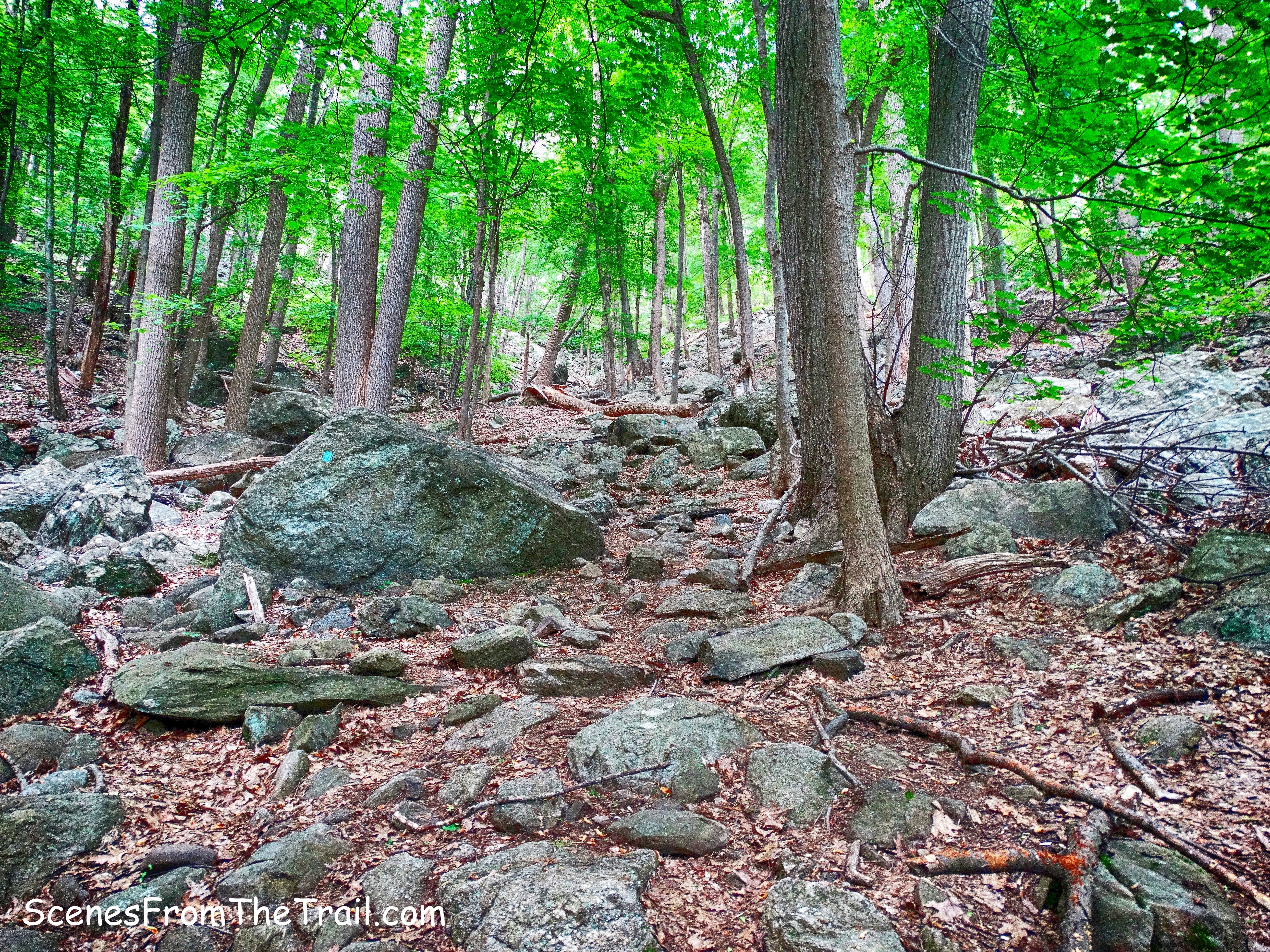 Cornell Mine Trail