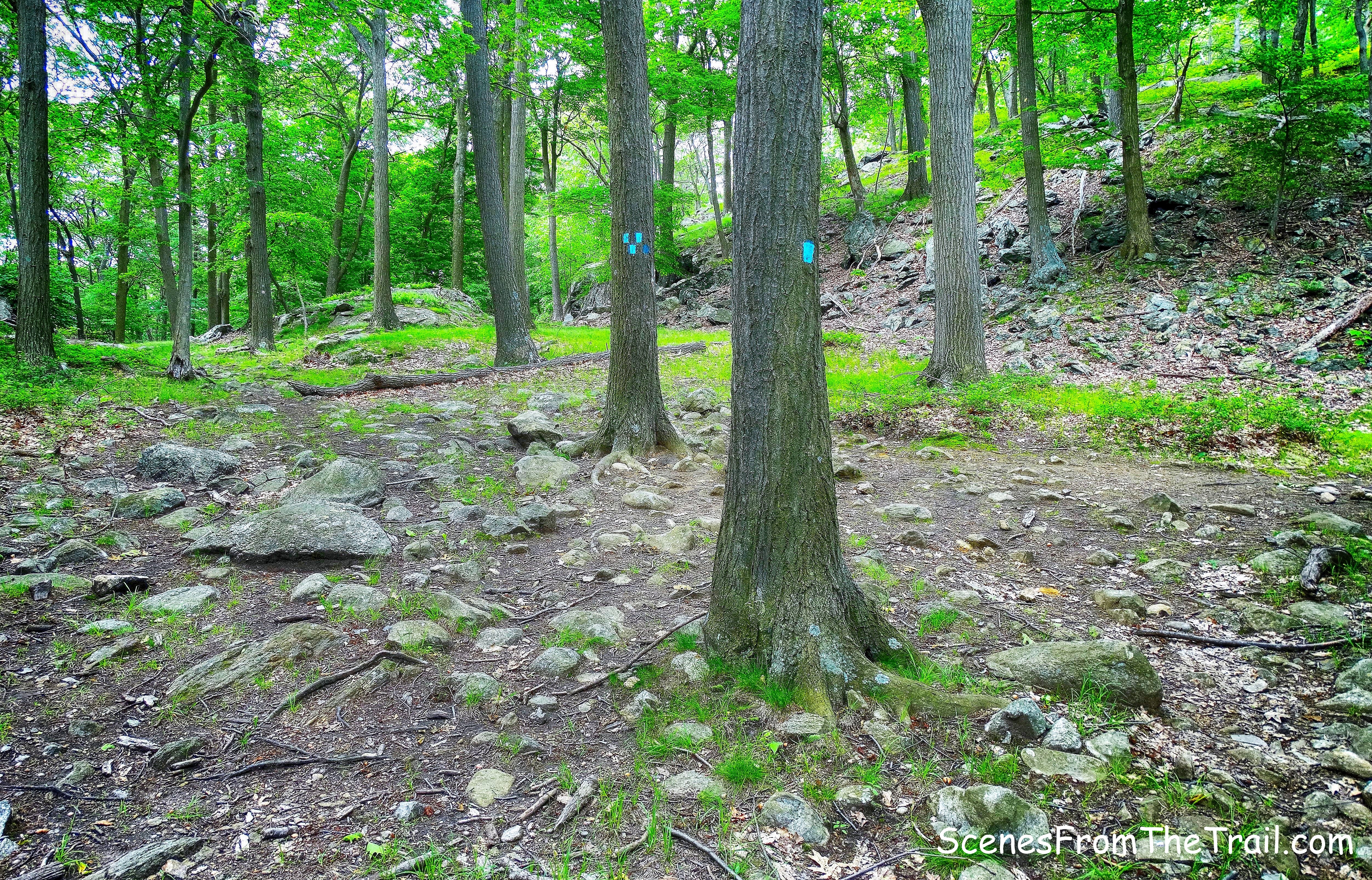 terminus of the Cornell Mine Trail