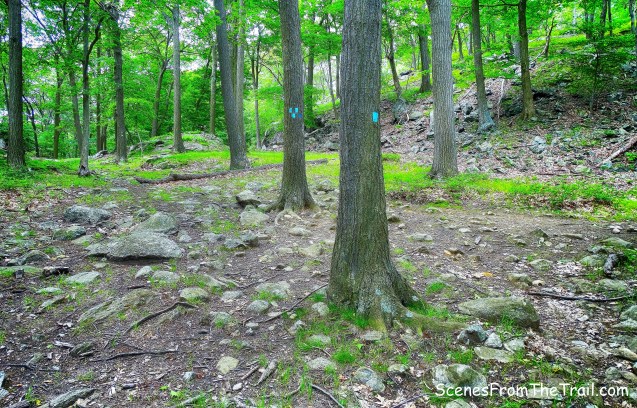 terminus of the Cornell Mine Trail