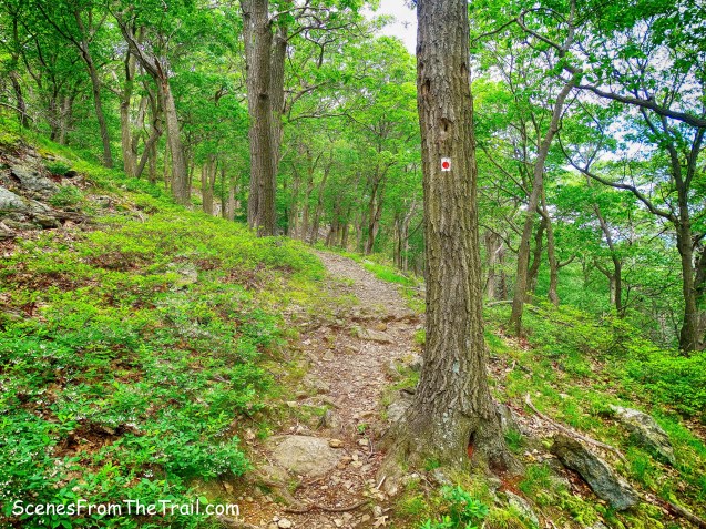 Ramapo-Dunderberg Trail