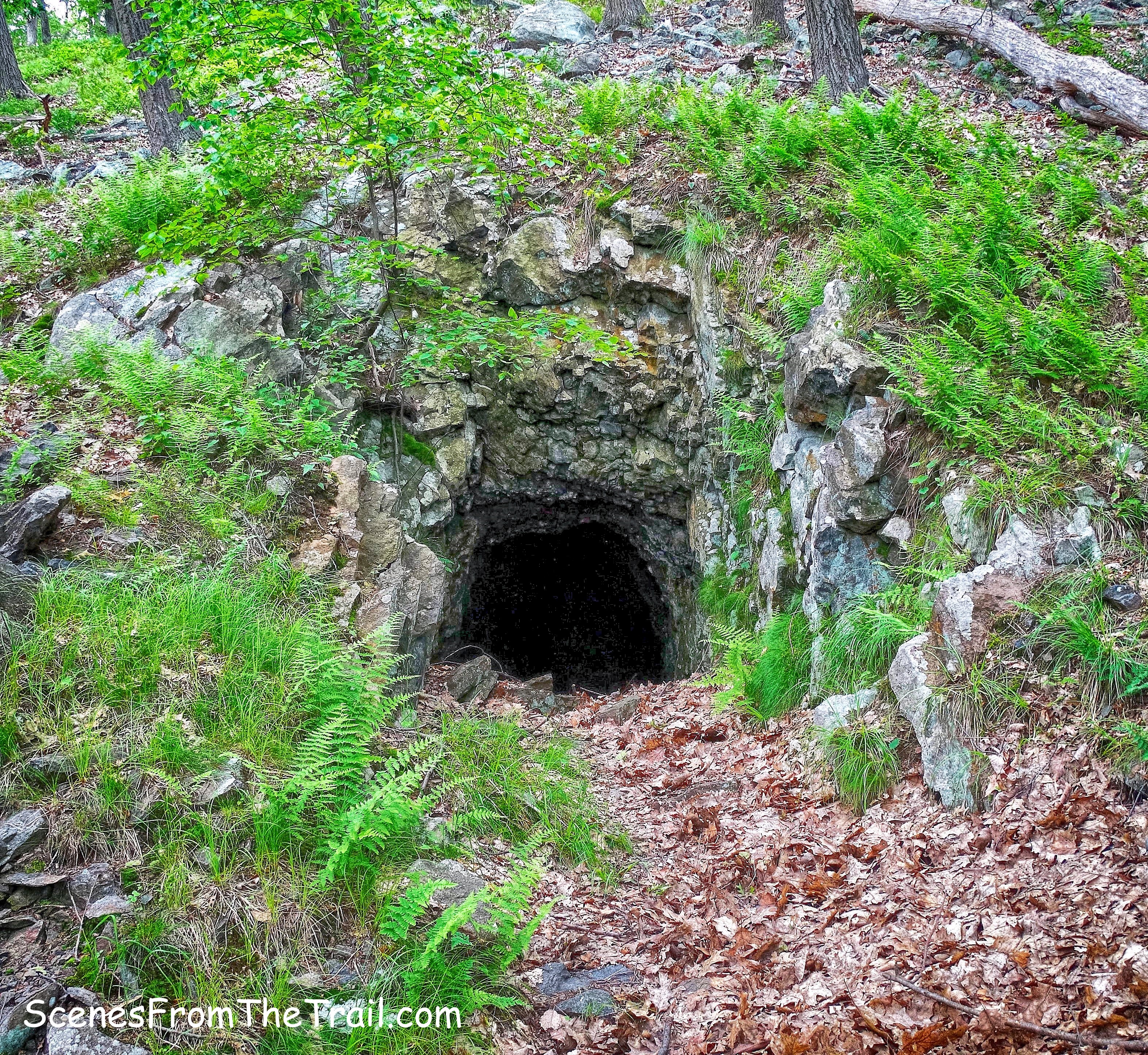 Cornell Mine