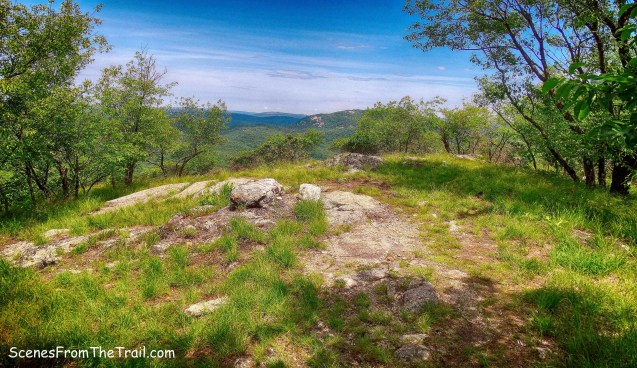 summit of Bald Mountain