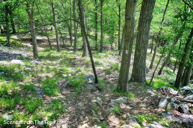 Ramapo-Dunderberg Trail