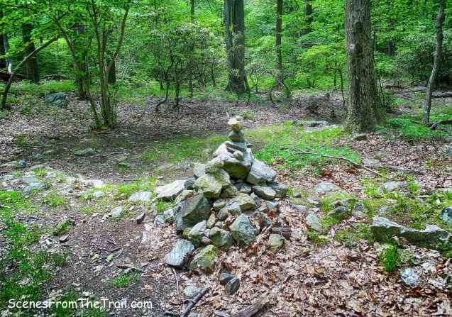 junction with the 1777 Trail and the R-D Trail