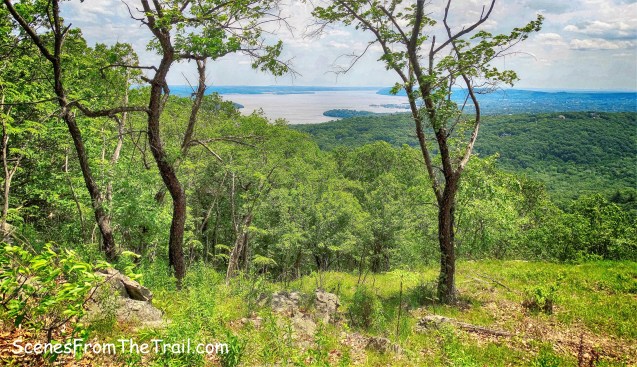 southern view from The Timp