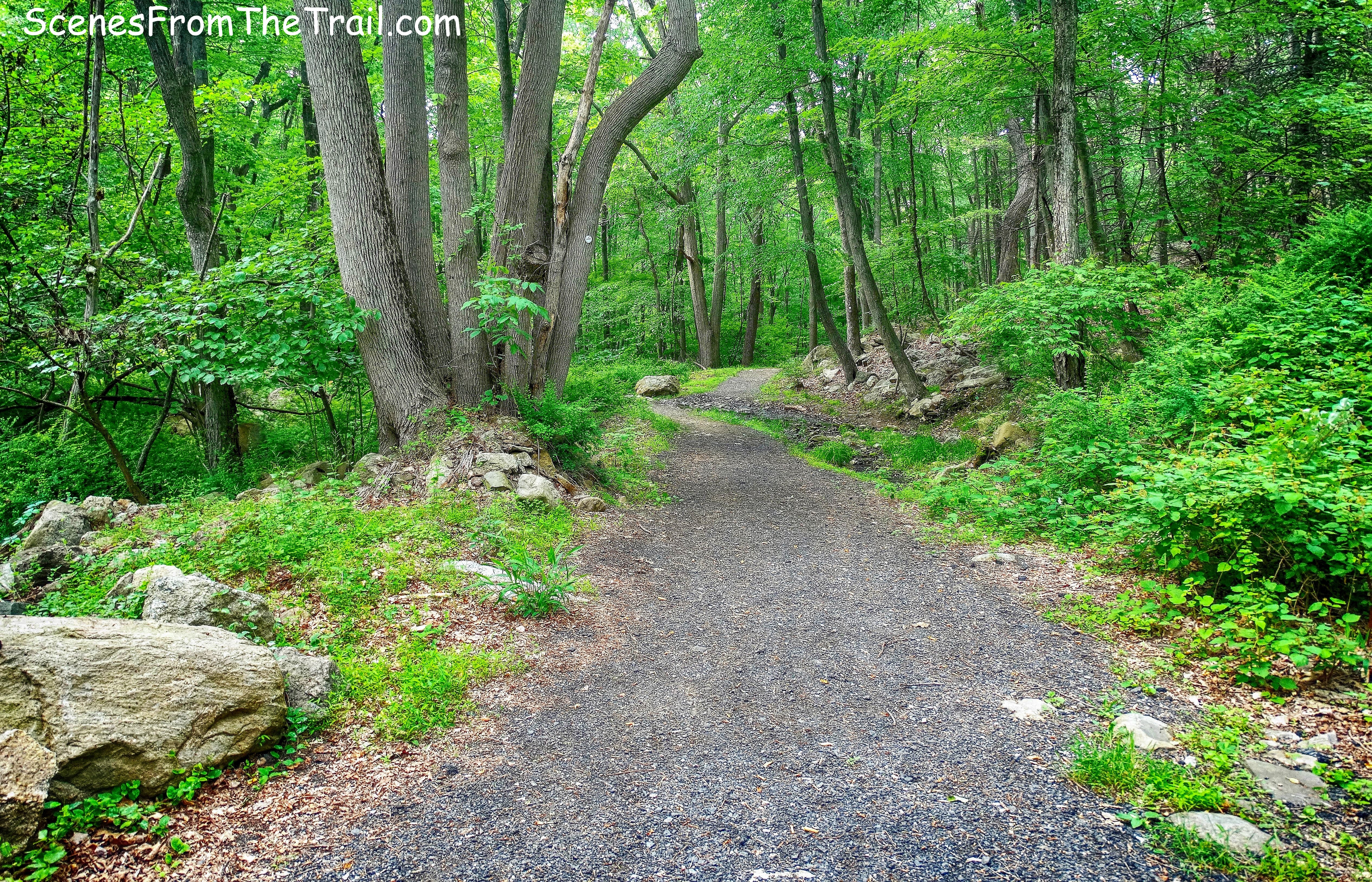 1777 Trail