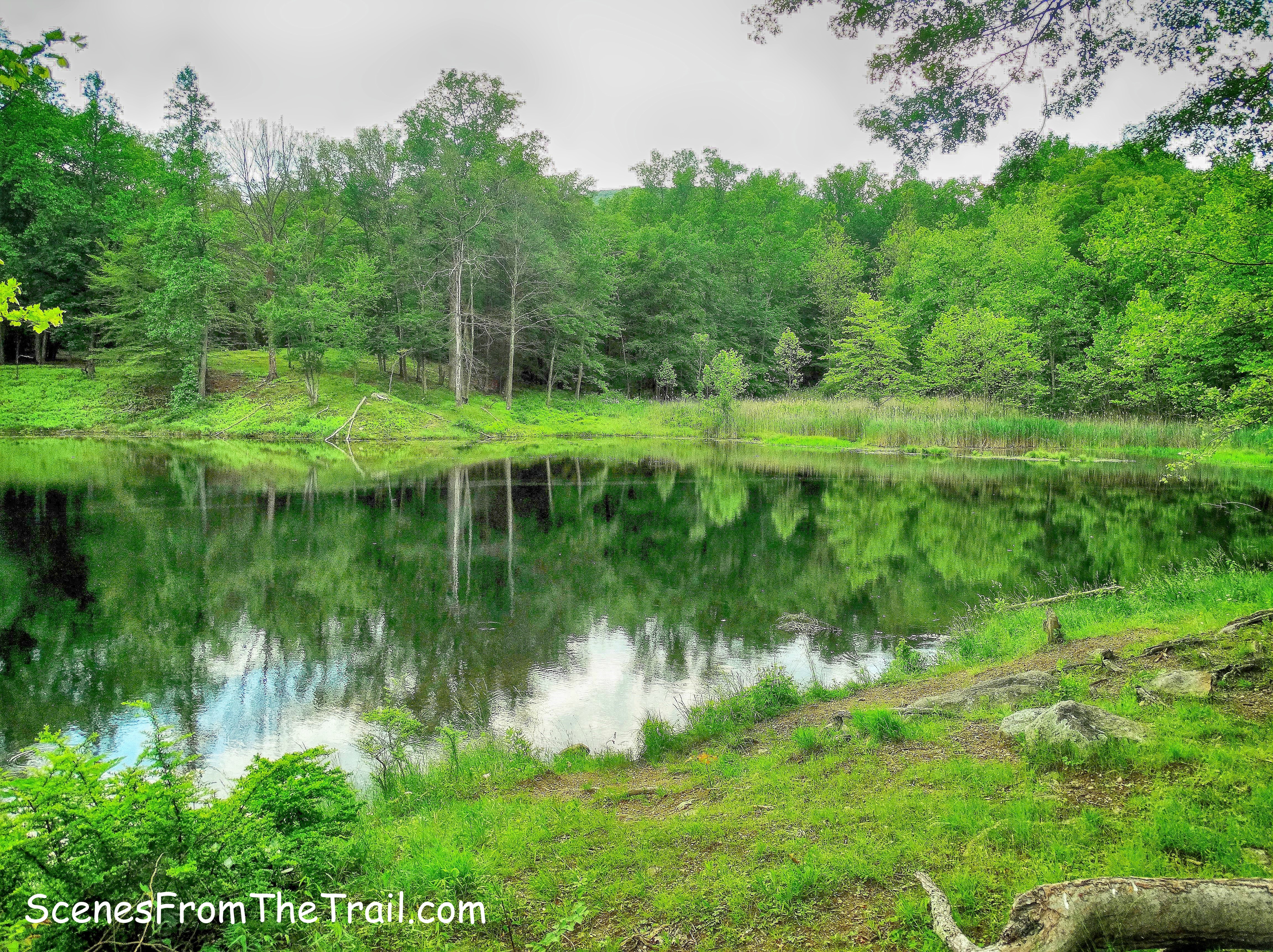 Doodletown Reservoir