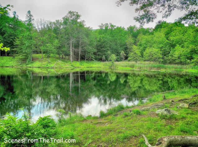Doodletown Reservoir