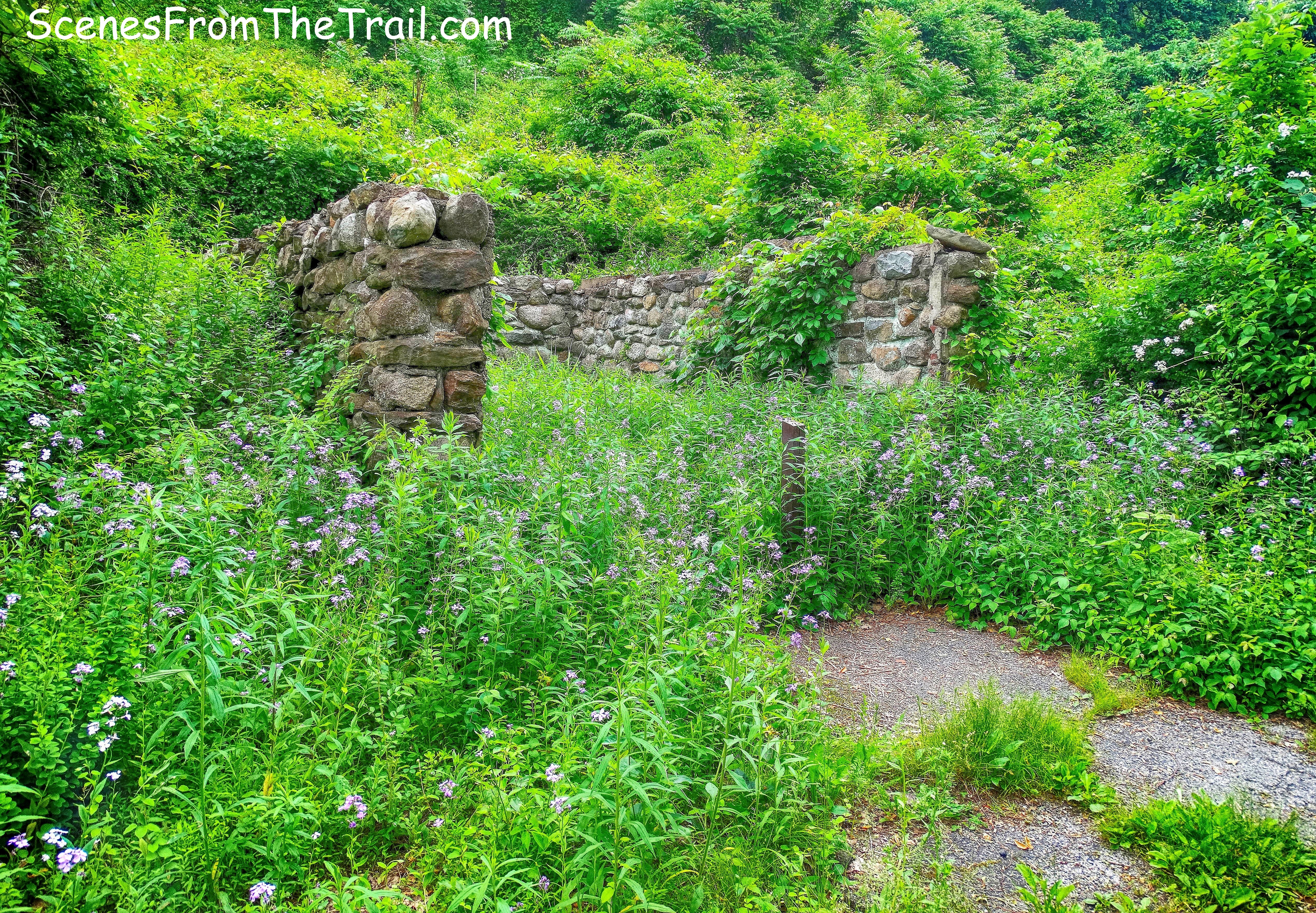 Doodletown ruins