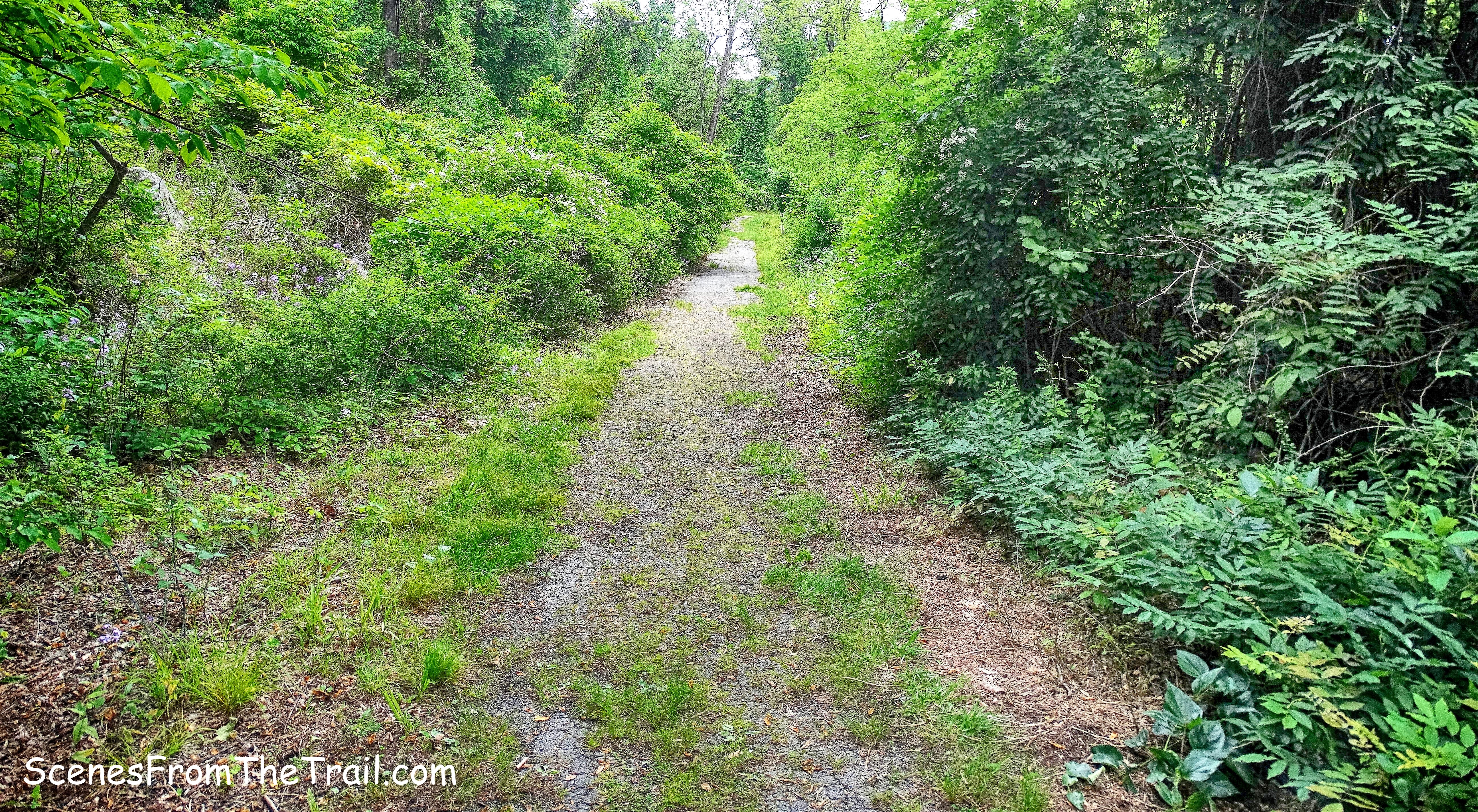 Doodletown Road