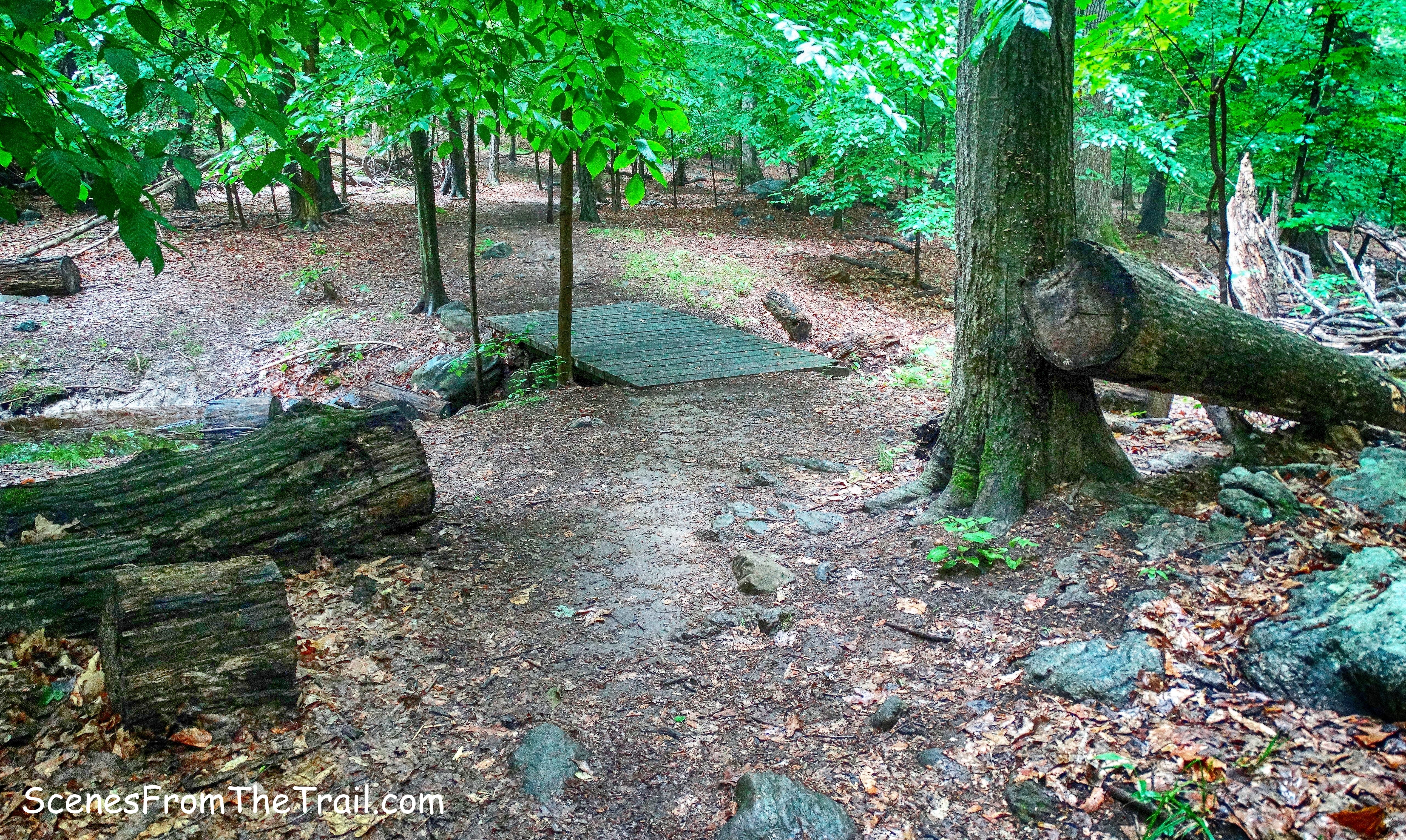 North-South Trail