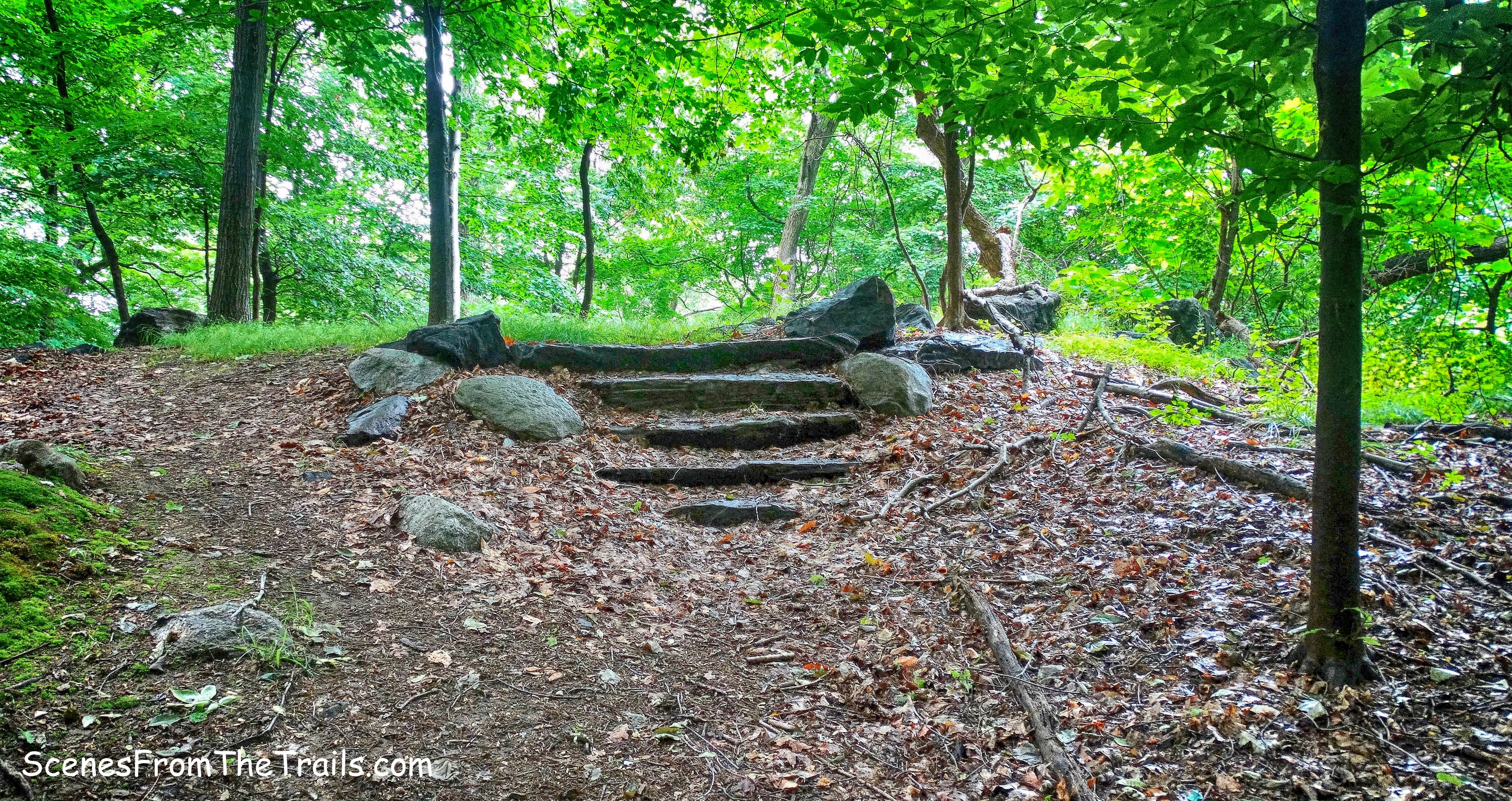 stone steps to the terrace