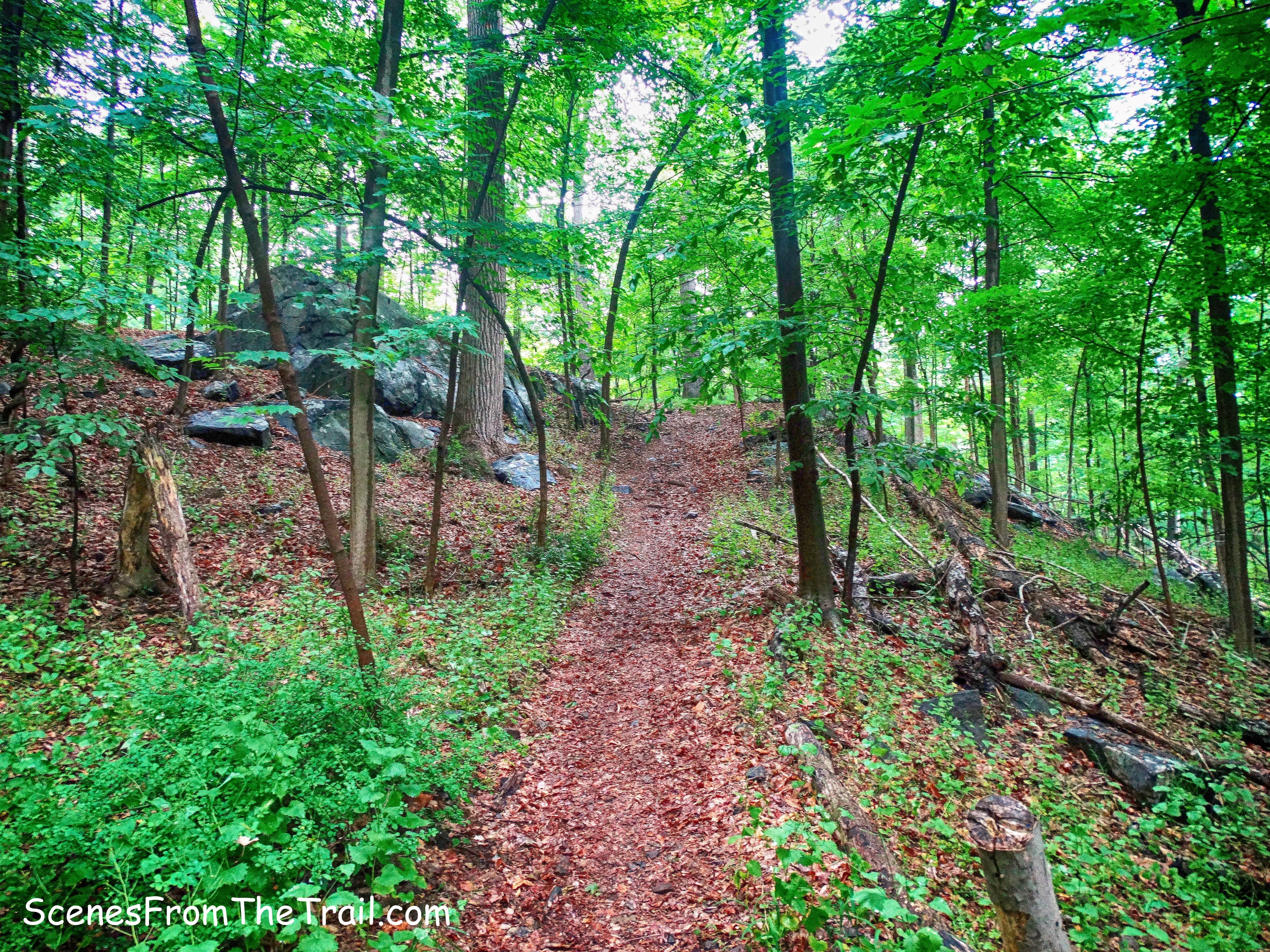 ML Trail