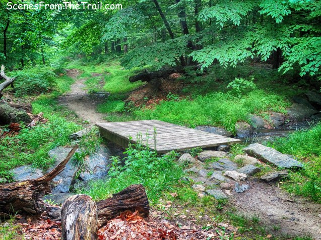 wooden footbridge