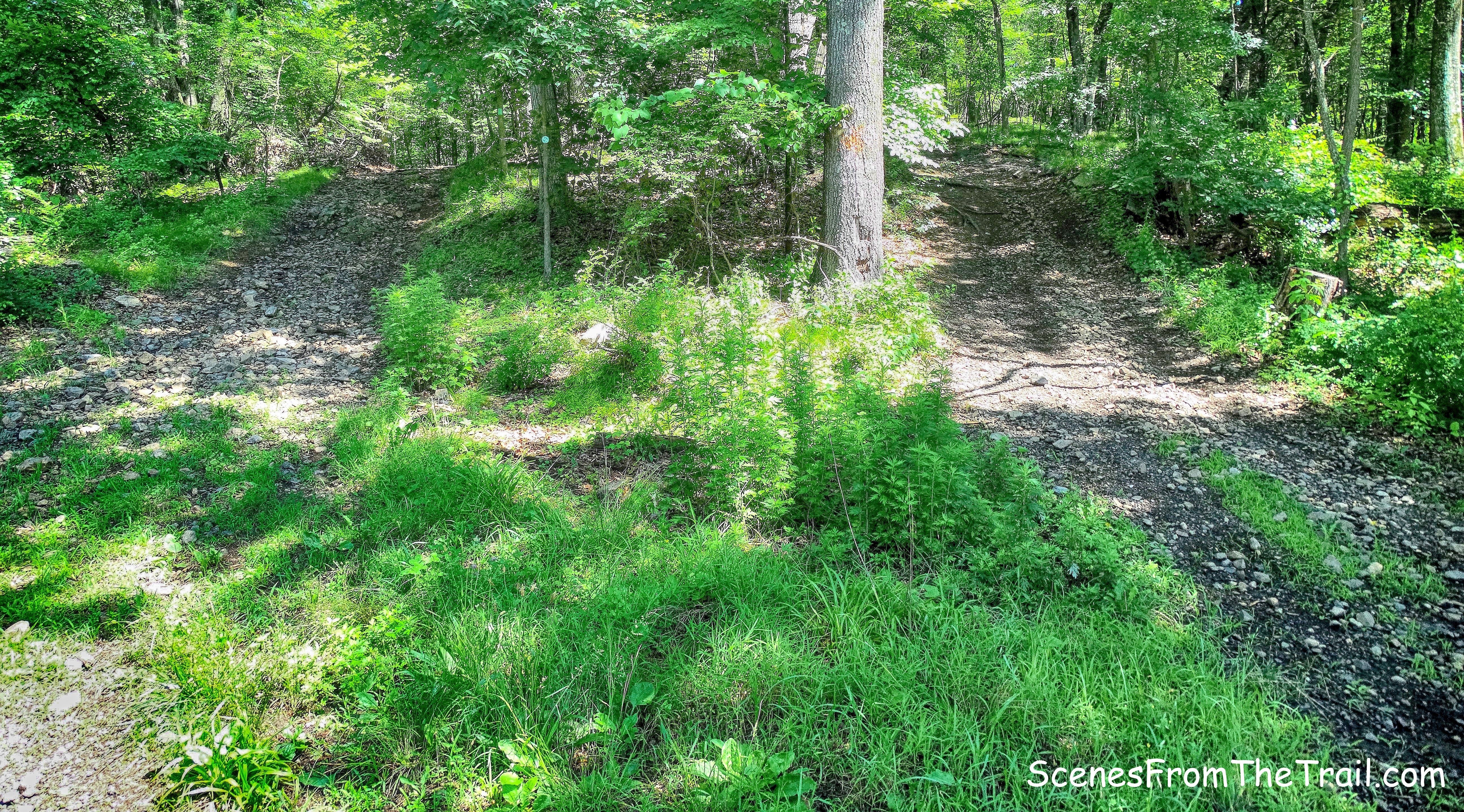 Long Path to the left and woods road on the right.
