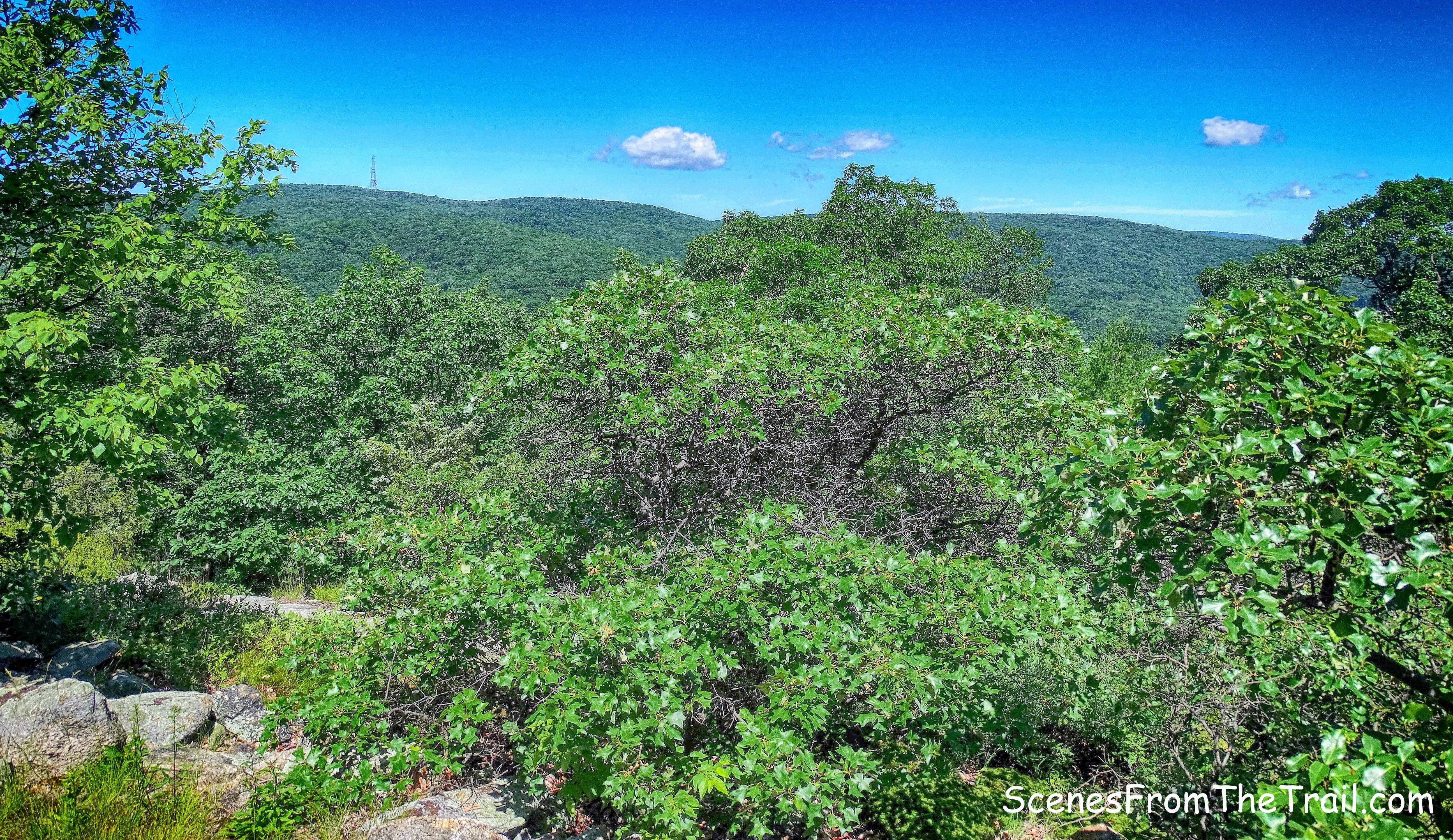 View of the Harriman hills from Cheesecote Mountain