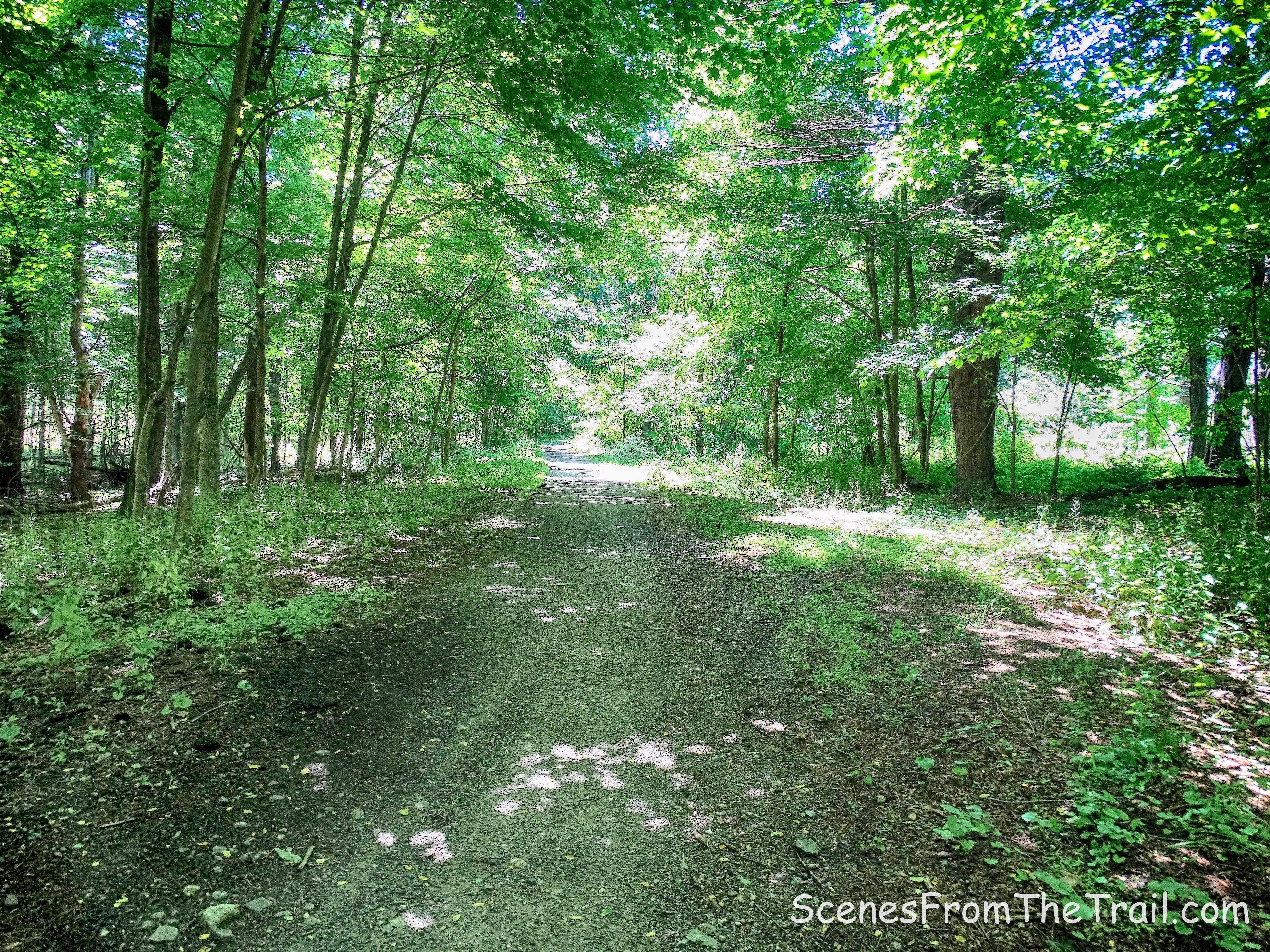 The Long Path