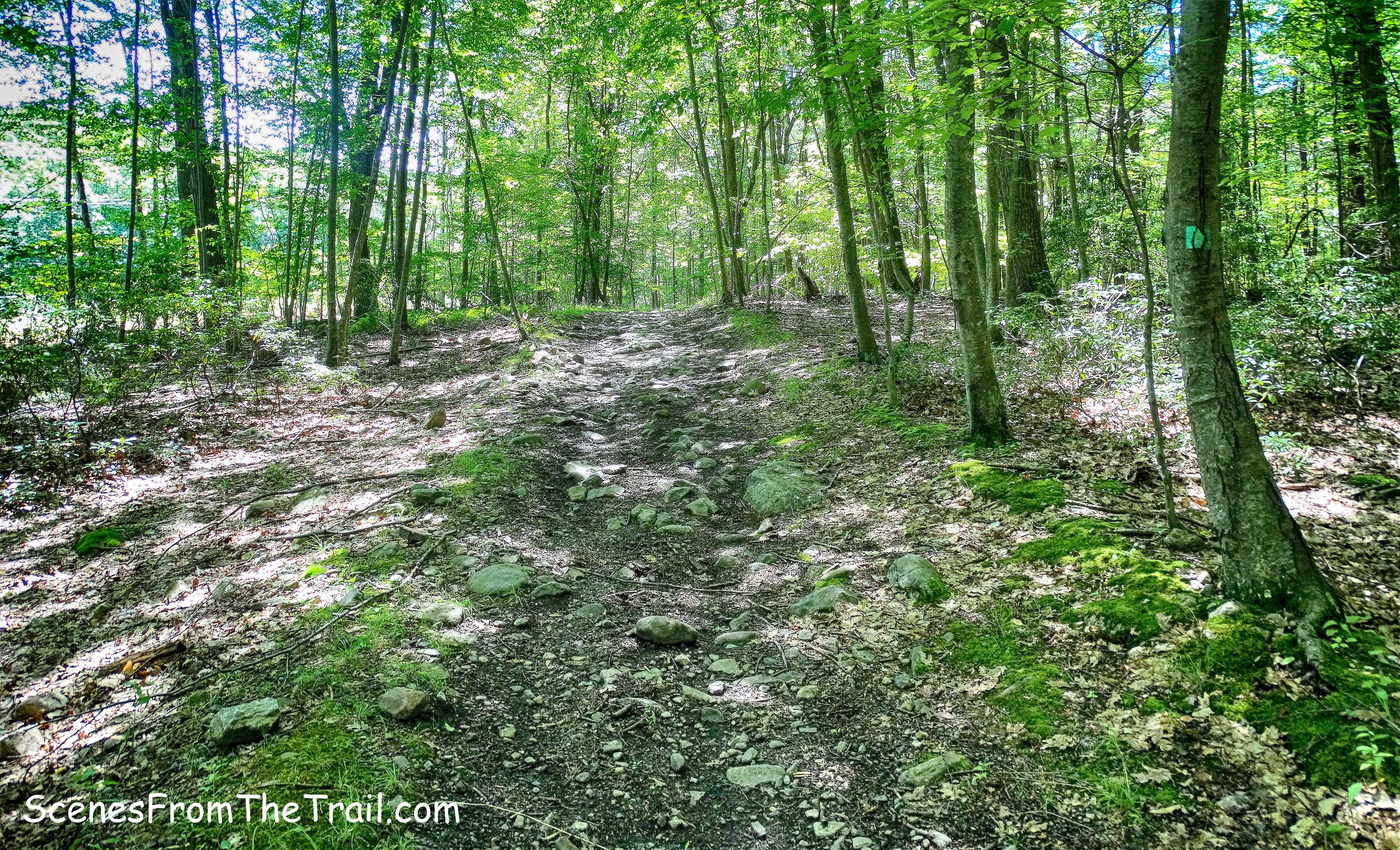 The Long Path