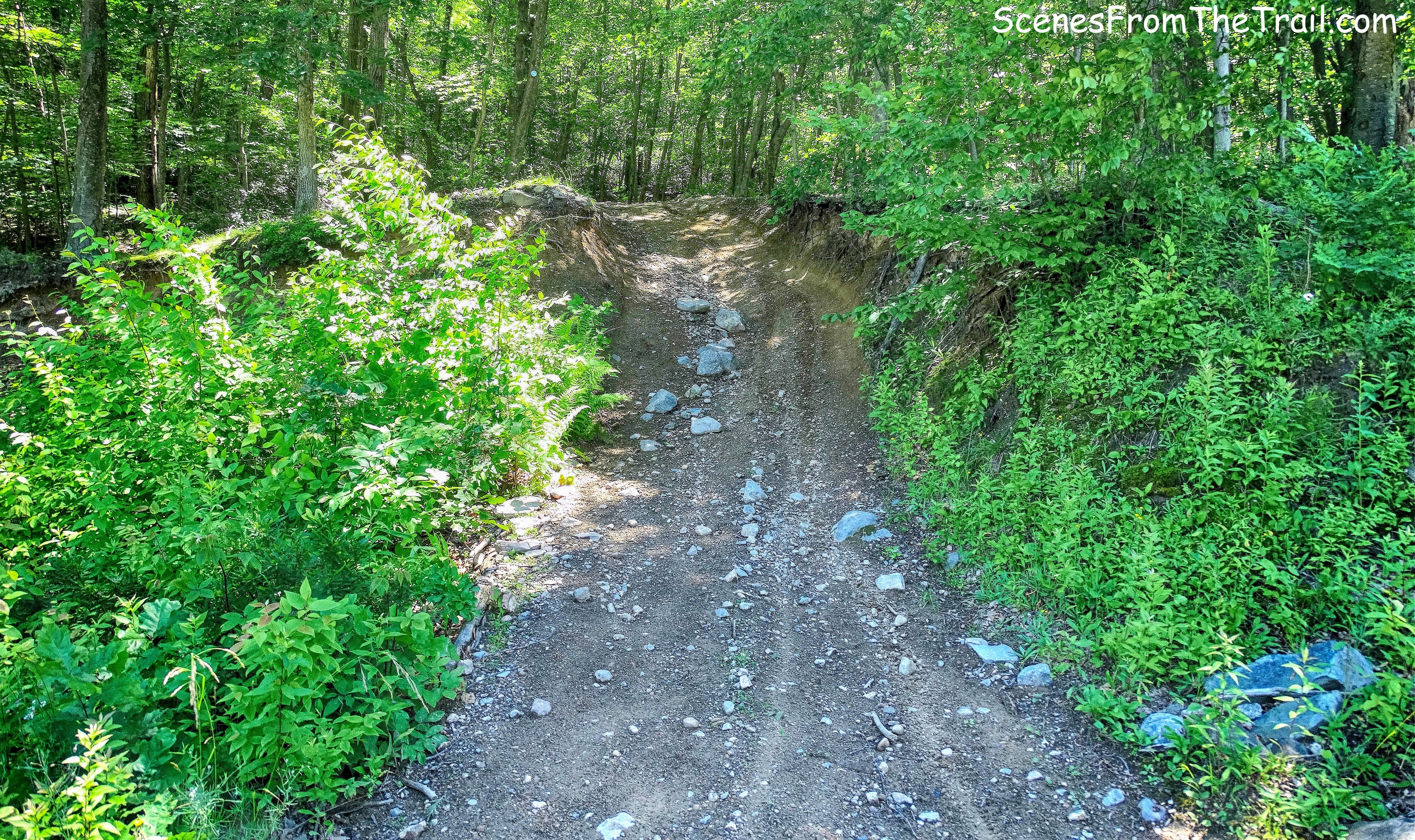 The Long Path