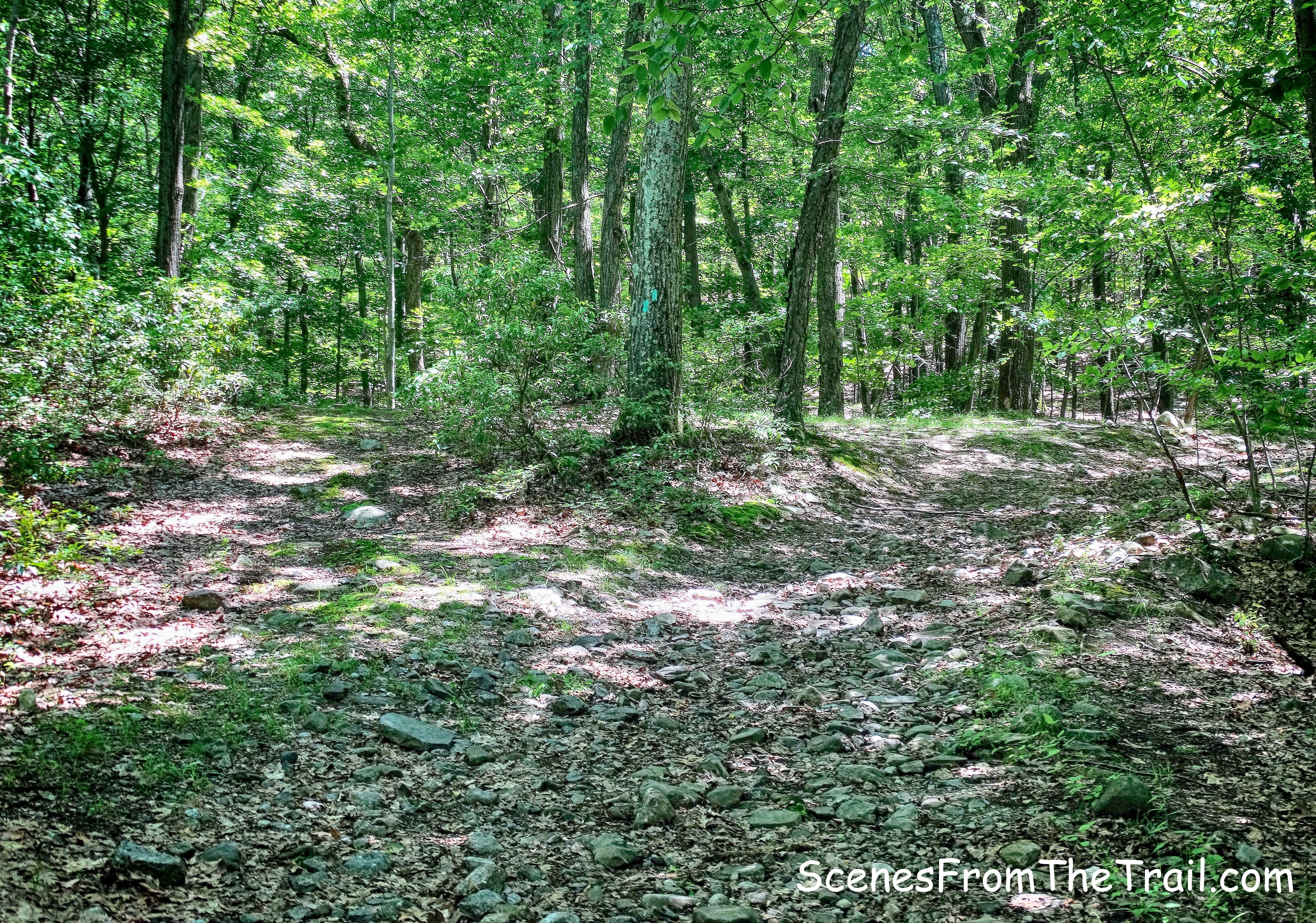 The Long Path