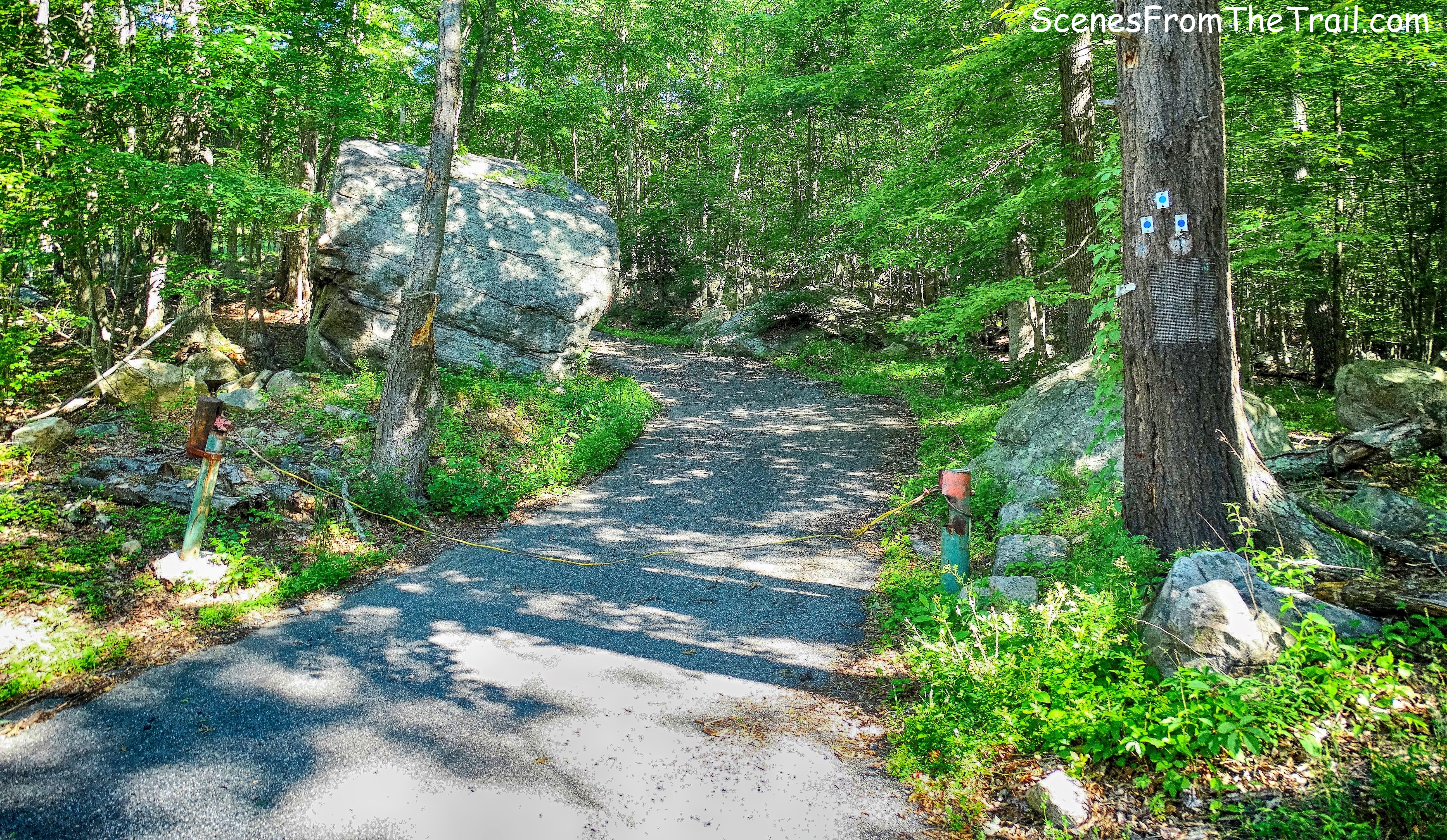 Start of the Blue Disc Trail