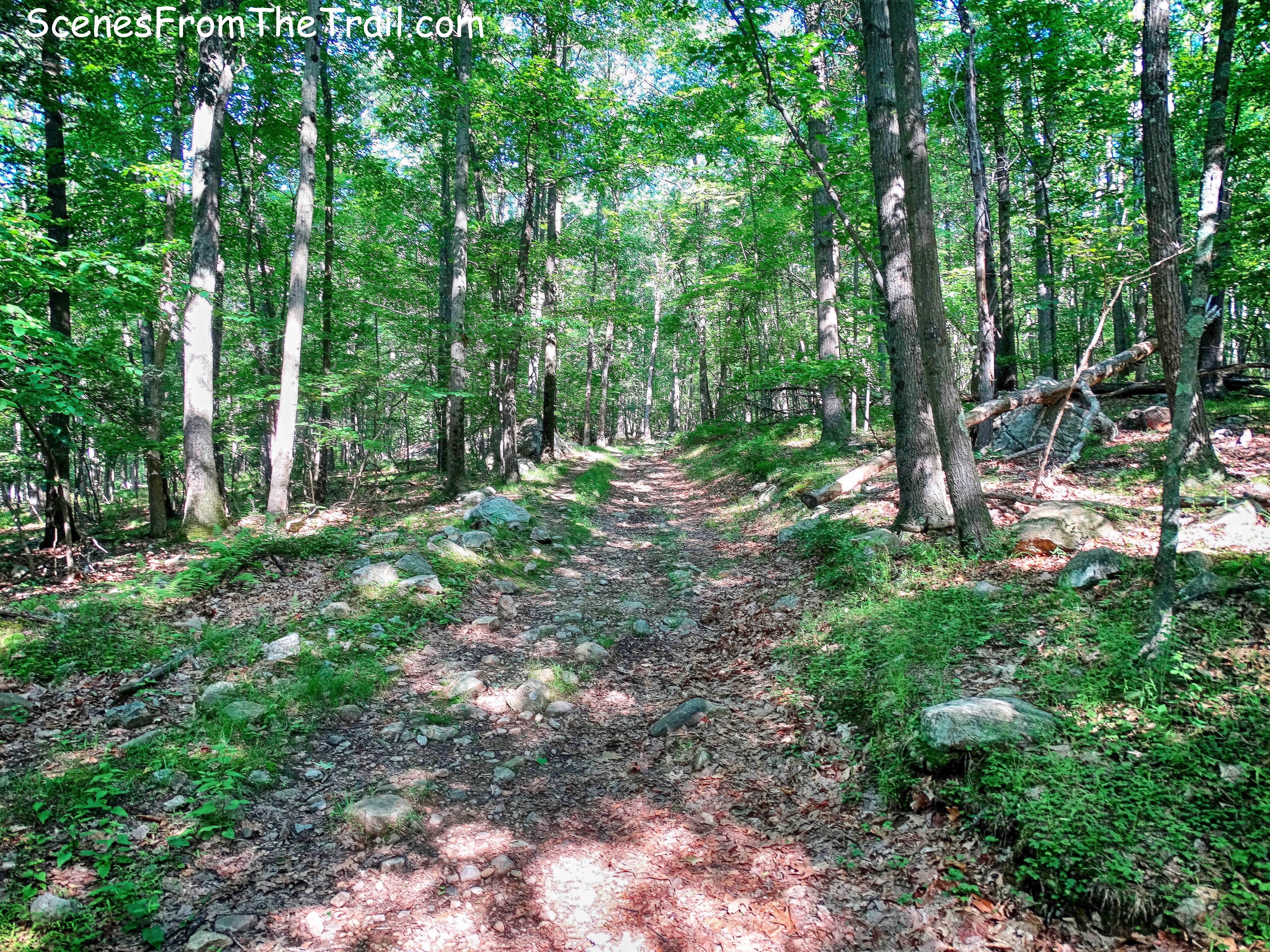 Blue Disc Trail