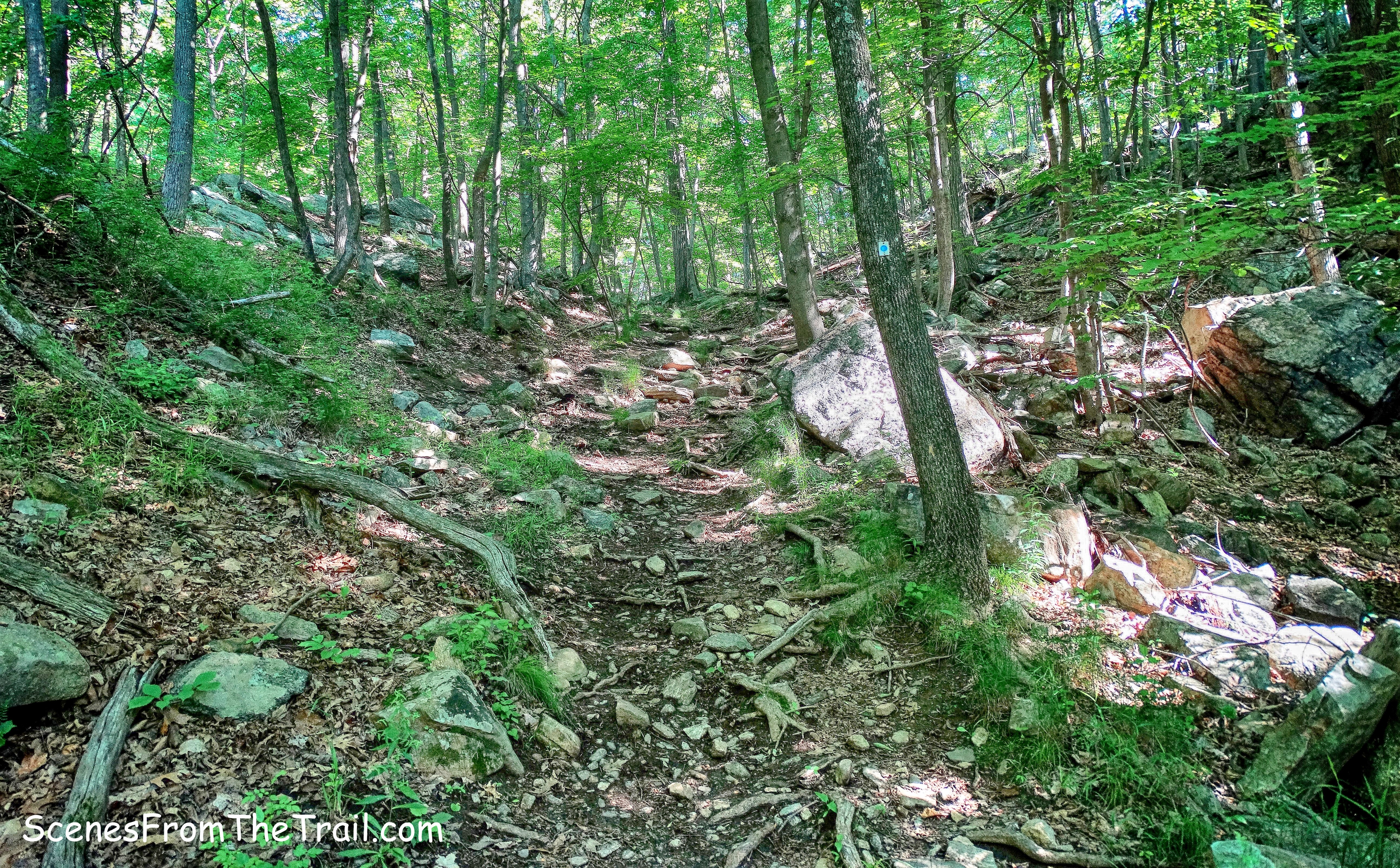 Blue Disc Trail