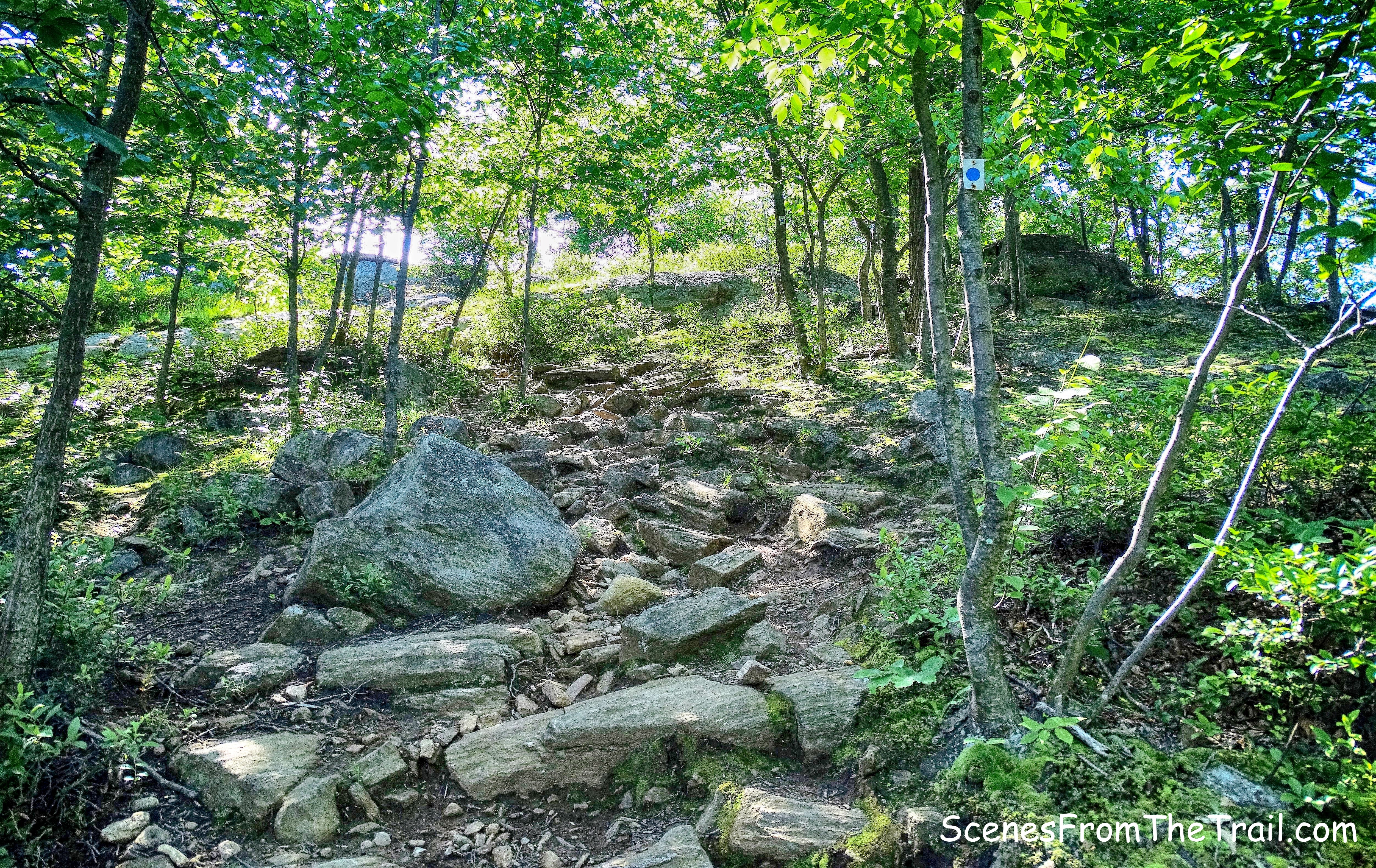 Blue Disc Trail