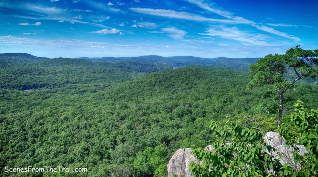 View from Almost Perpendicular