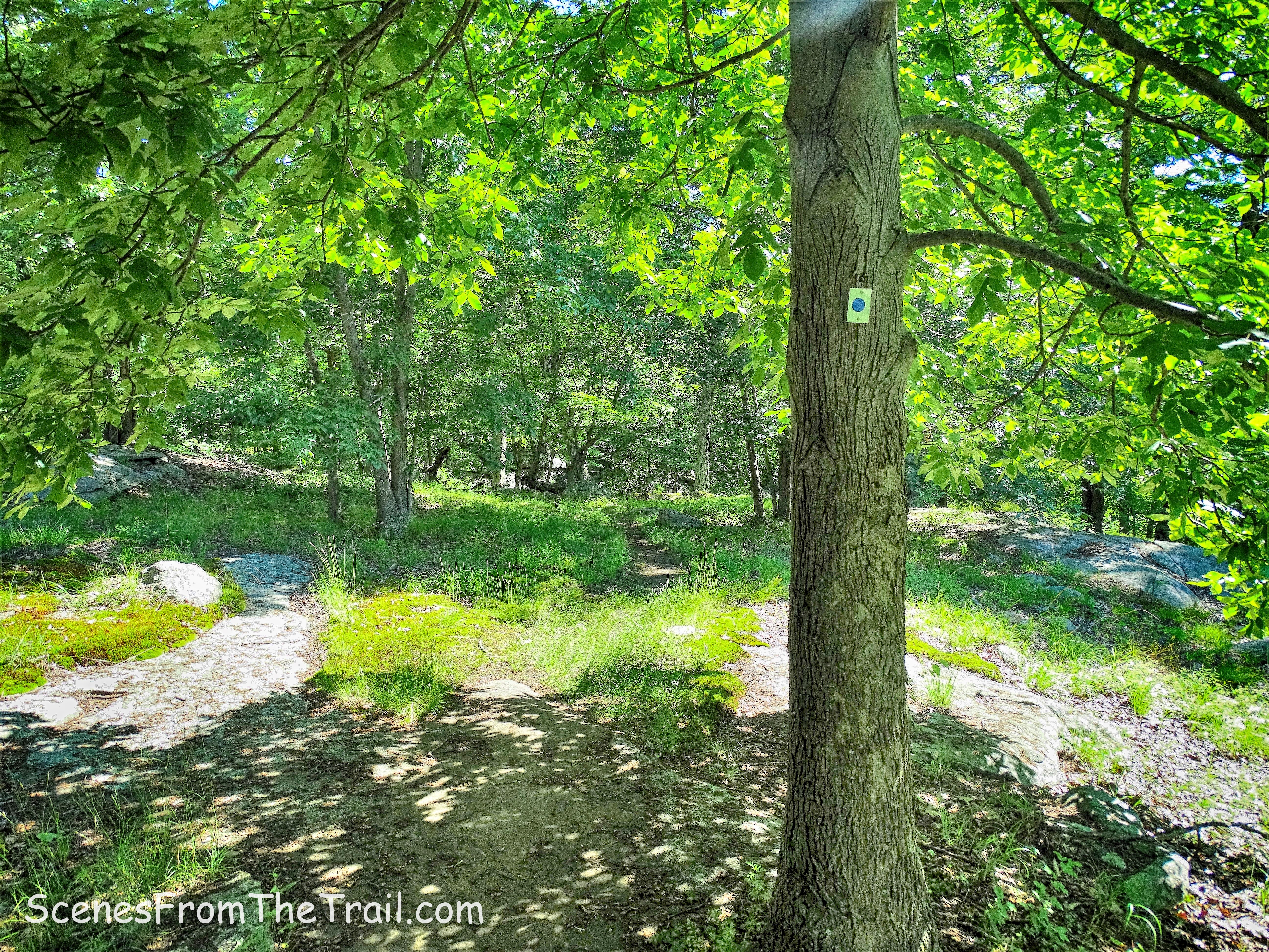 Blue Disc Trail