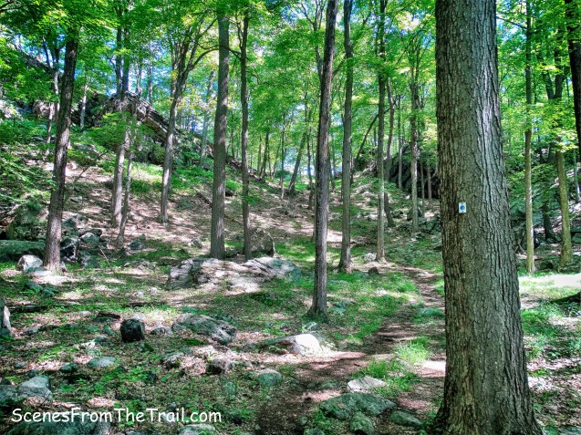 Blue Disc Trail approach to Pound Mountain