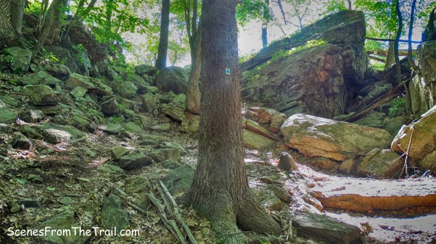Blue Disc Trail - Pound Mountain