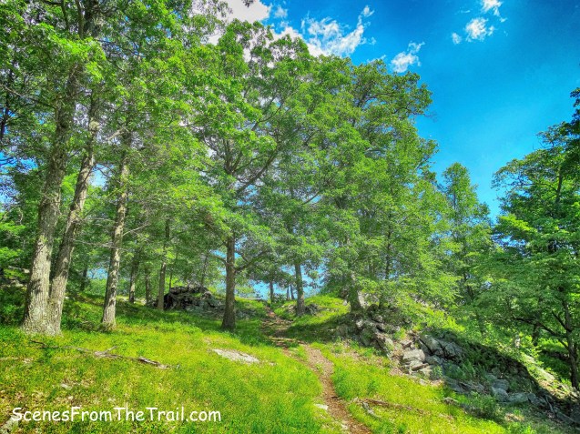 Blue Disc Trail - Pound Mountain