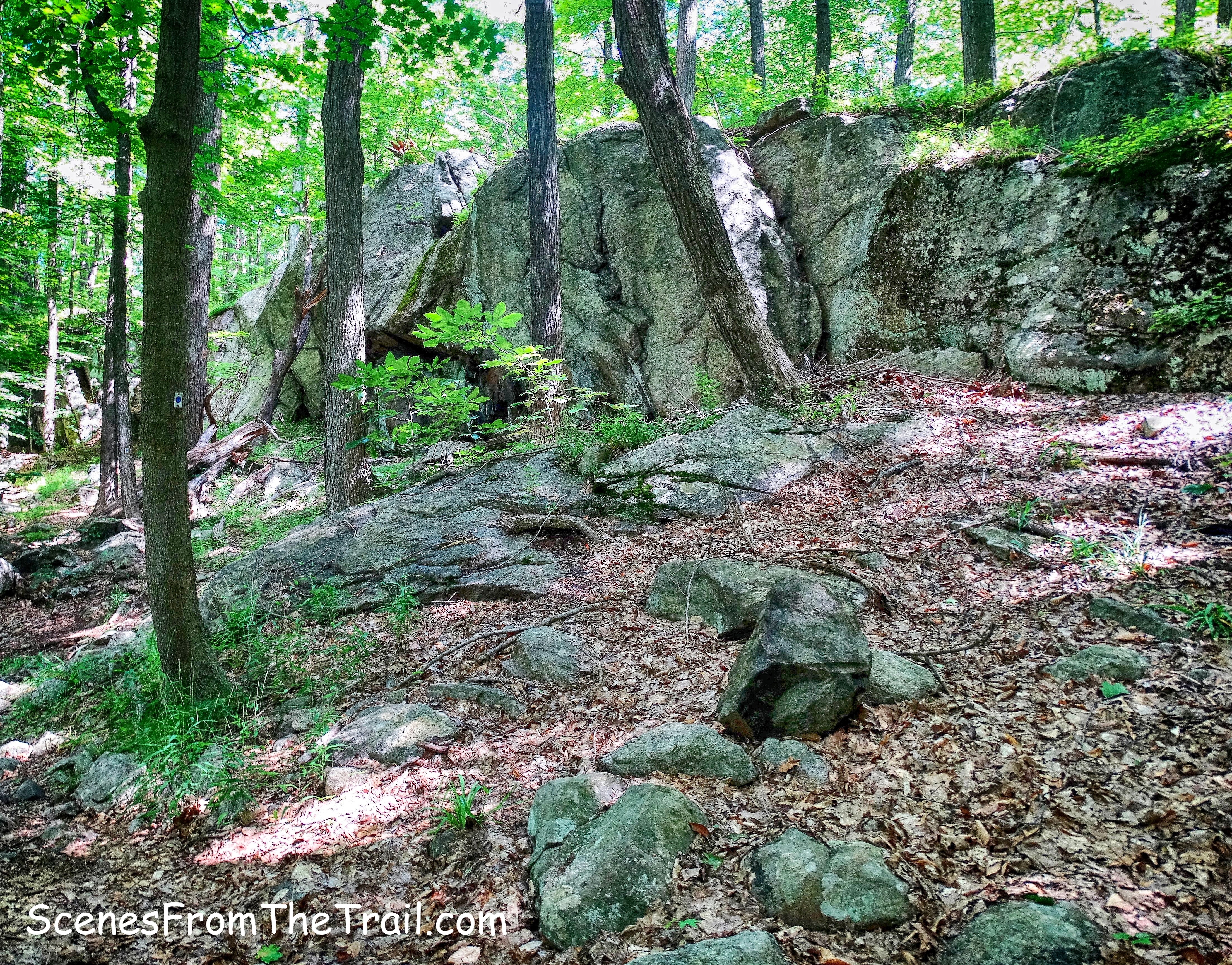 Blue Disc Trail
