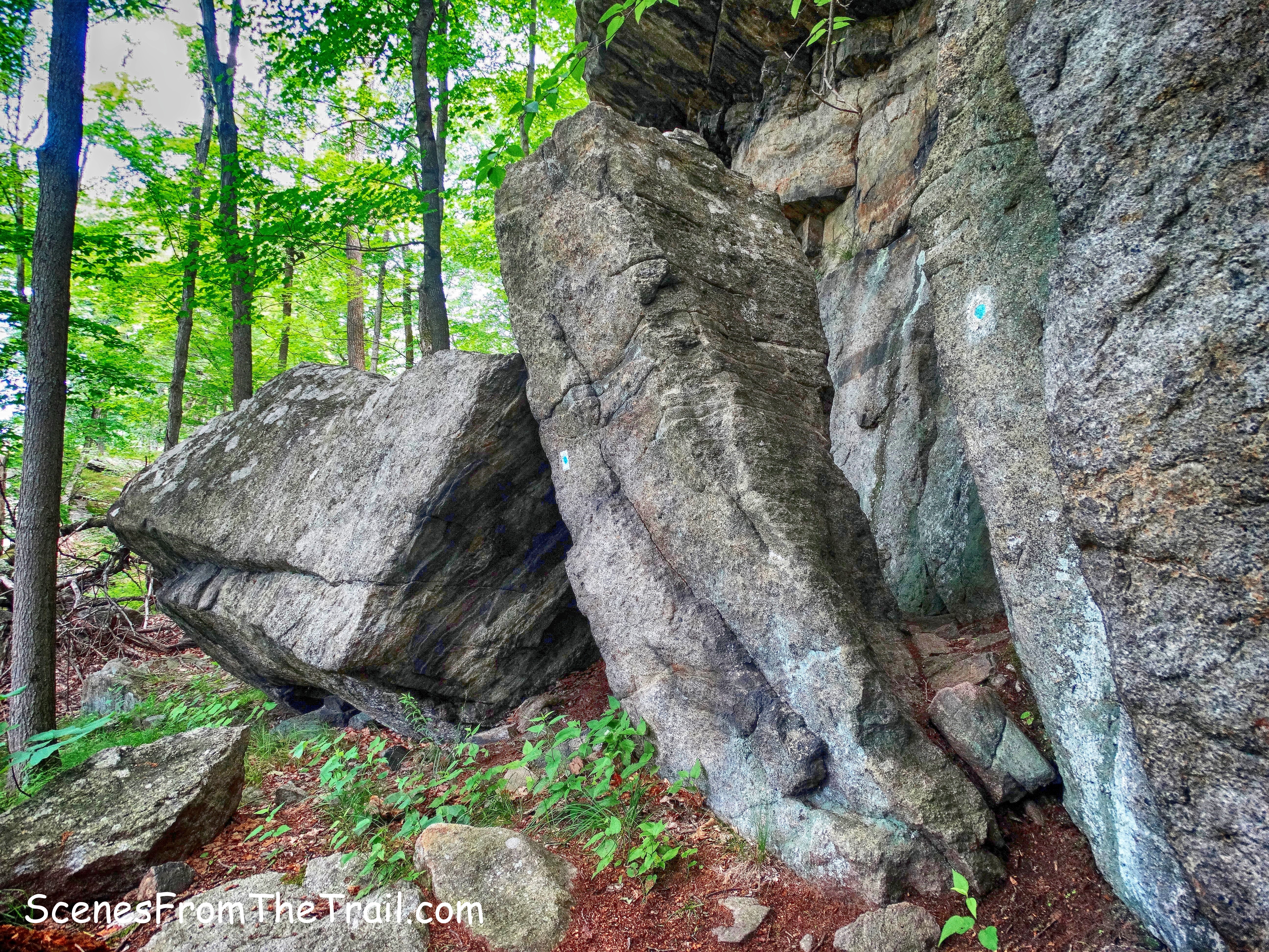 Blue Disc Trail