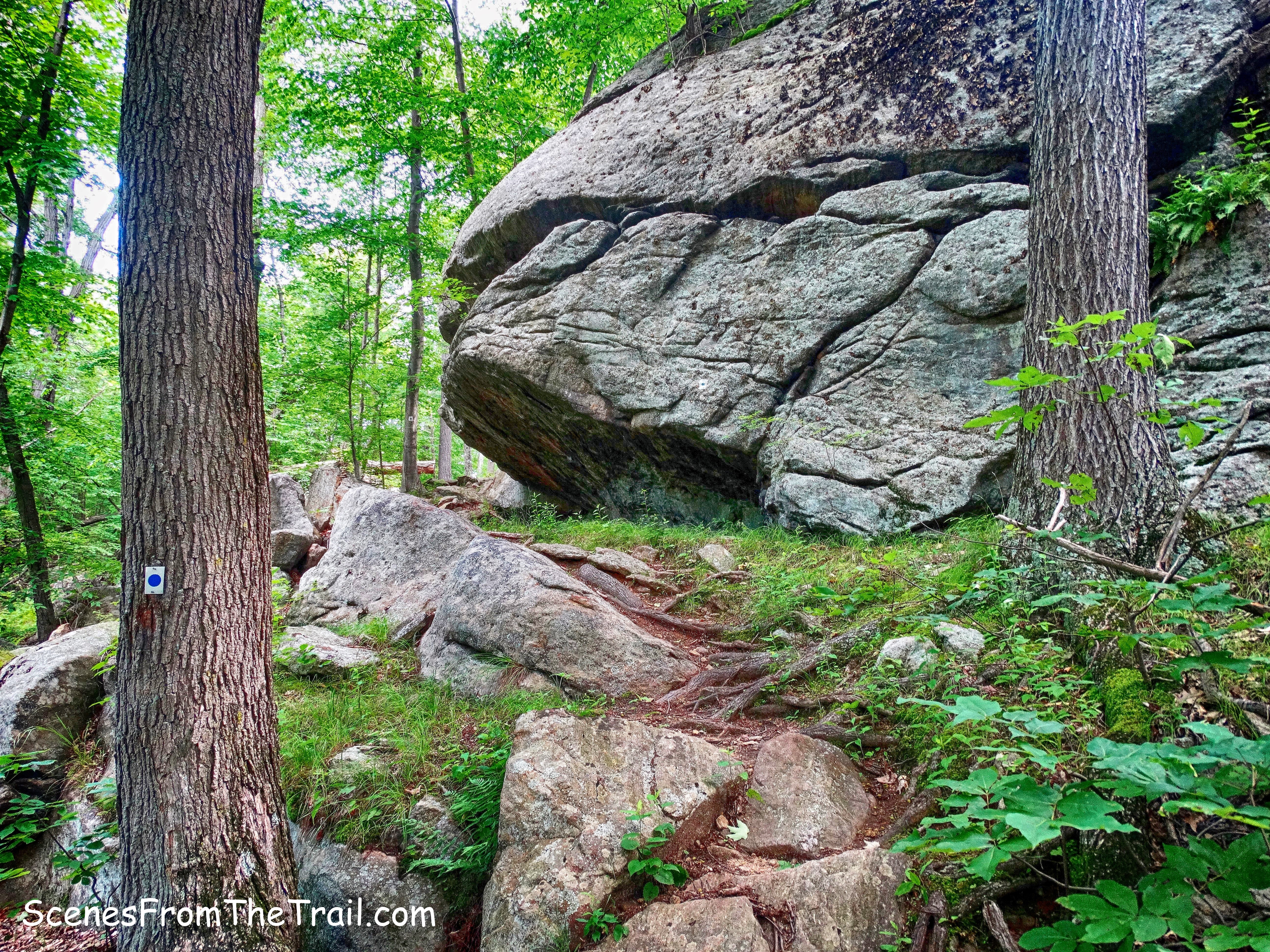Blue Disc Trail