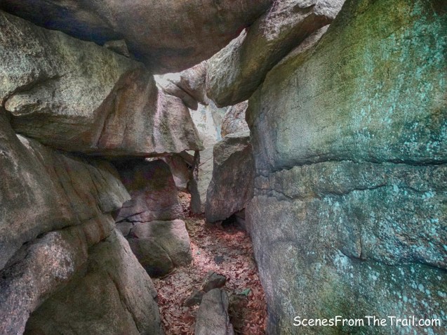 Elbow Brush - Blue Disc Trail