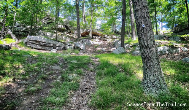 approach to Claudius Smith Rock