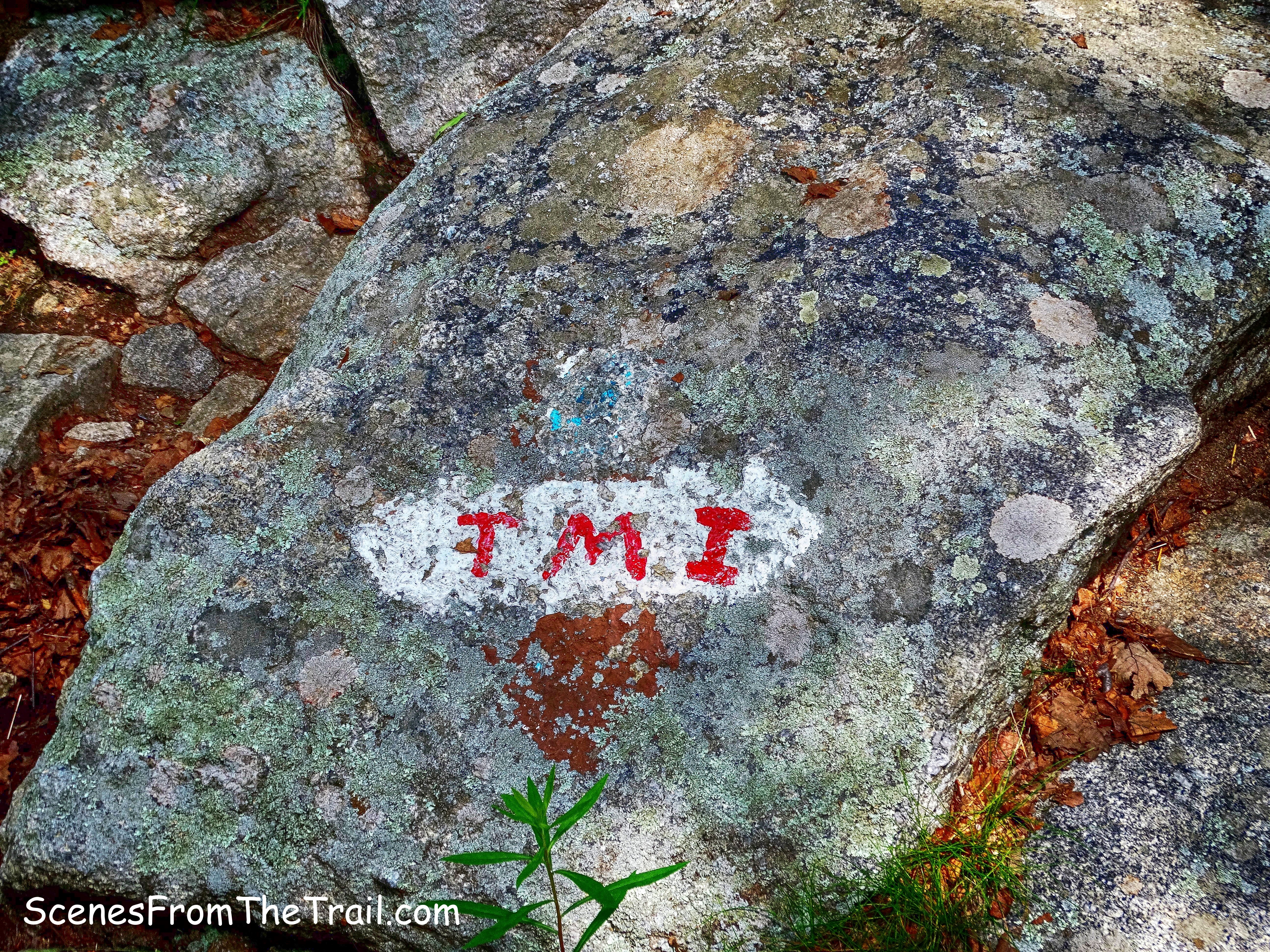 Tuxedo-Mt. Ivy Trail junction