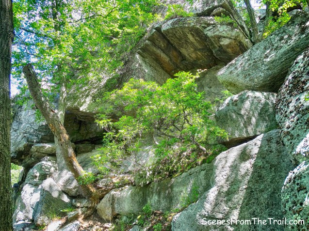 Claudius Smith Den - upper chamber