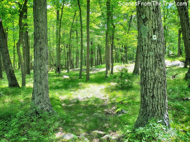 Tuxedo-Mt. Ivy Trail