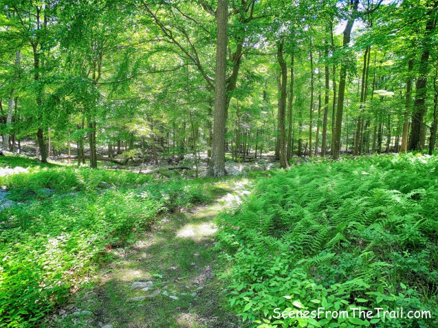 Tuxedo-Mt. Ivy Trail