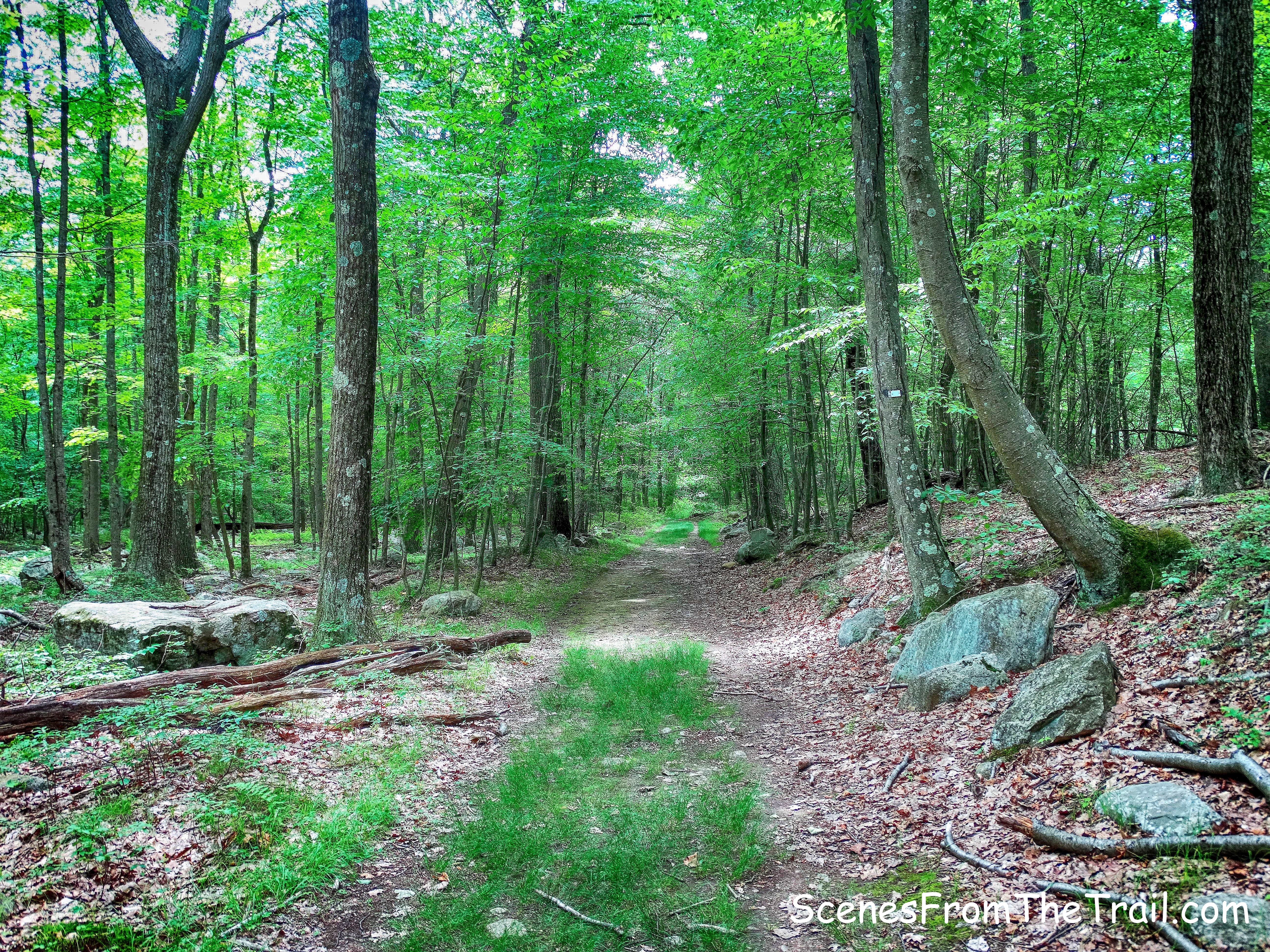 White Bar Trail