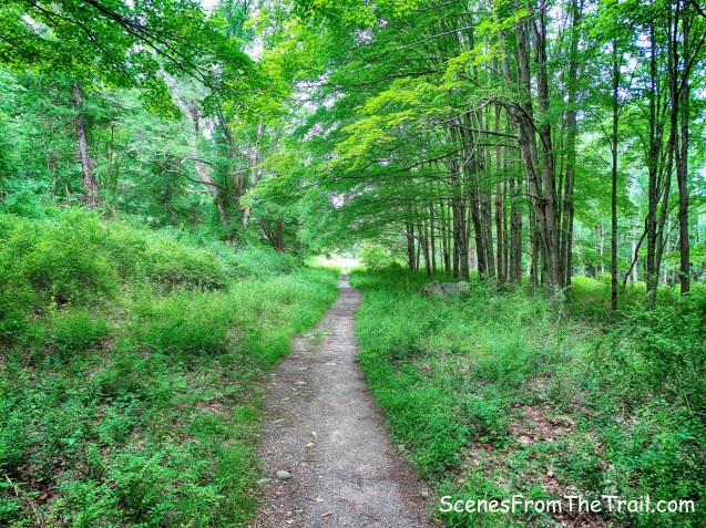 abandoned section of Johnsontown Road