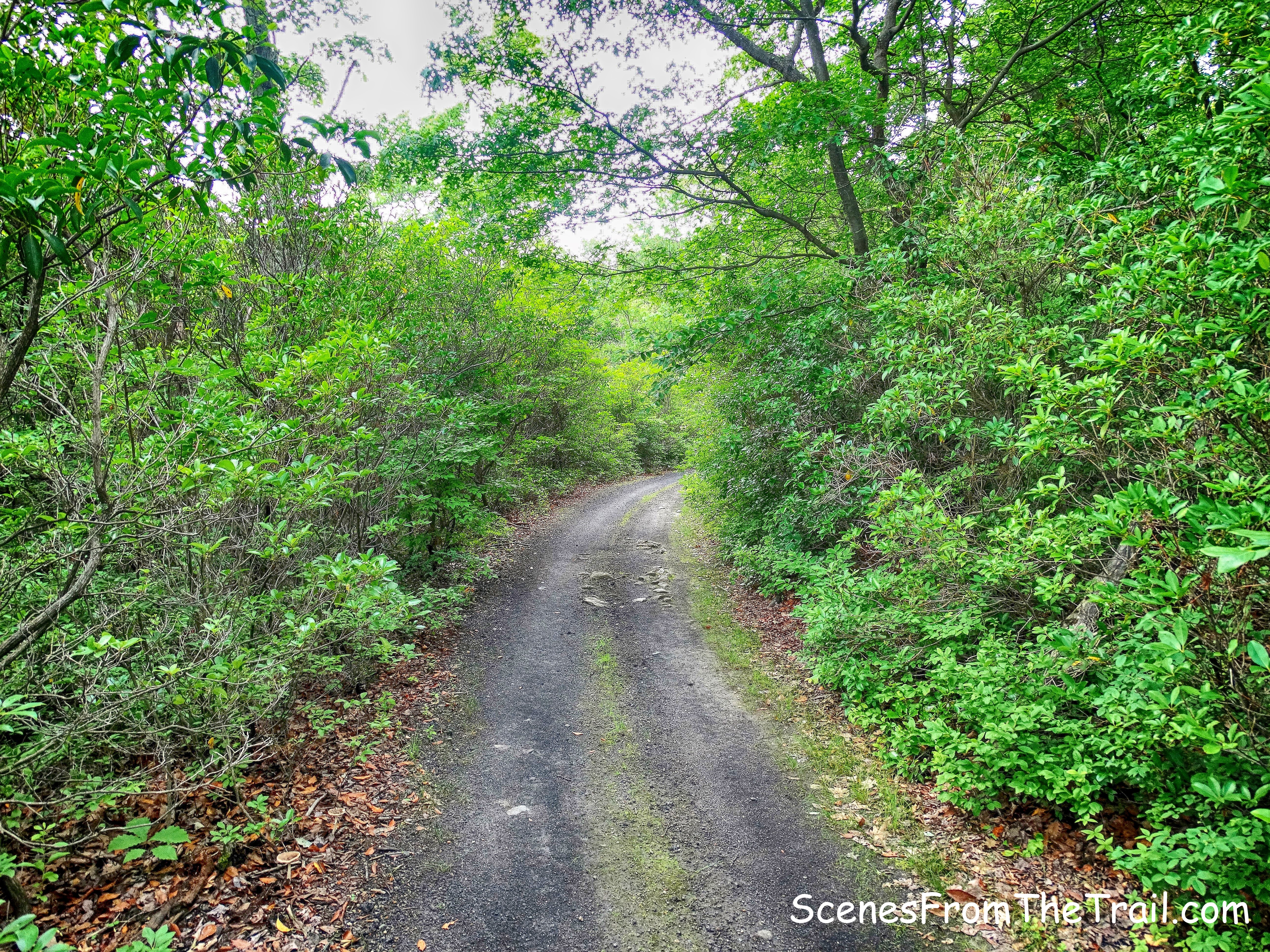 service road